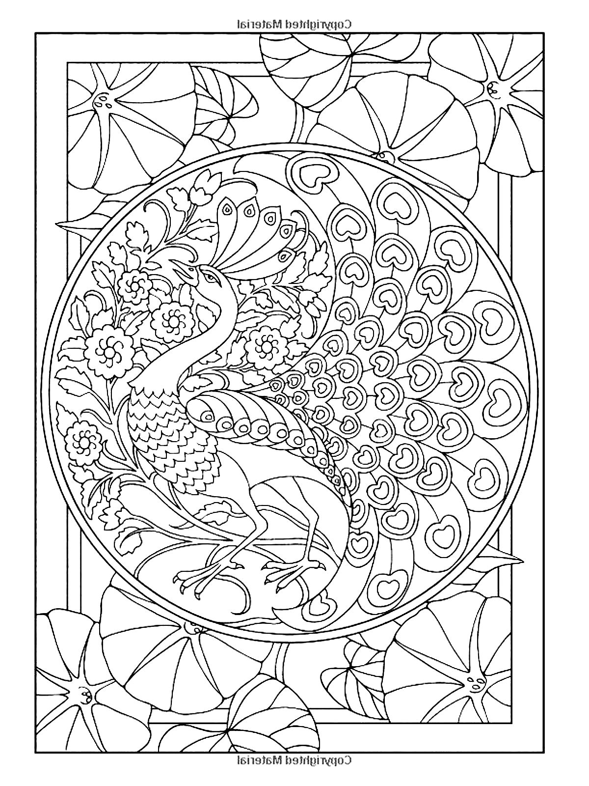 Pavo real Art Nouveau. El tema principal y otros elementos decorativos serán sin duda un placer de colorear.