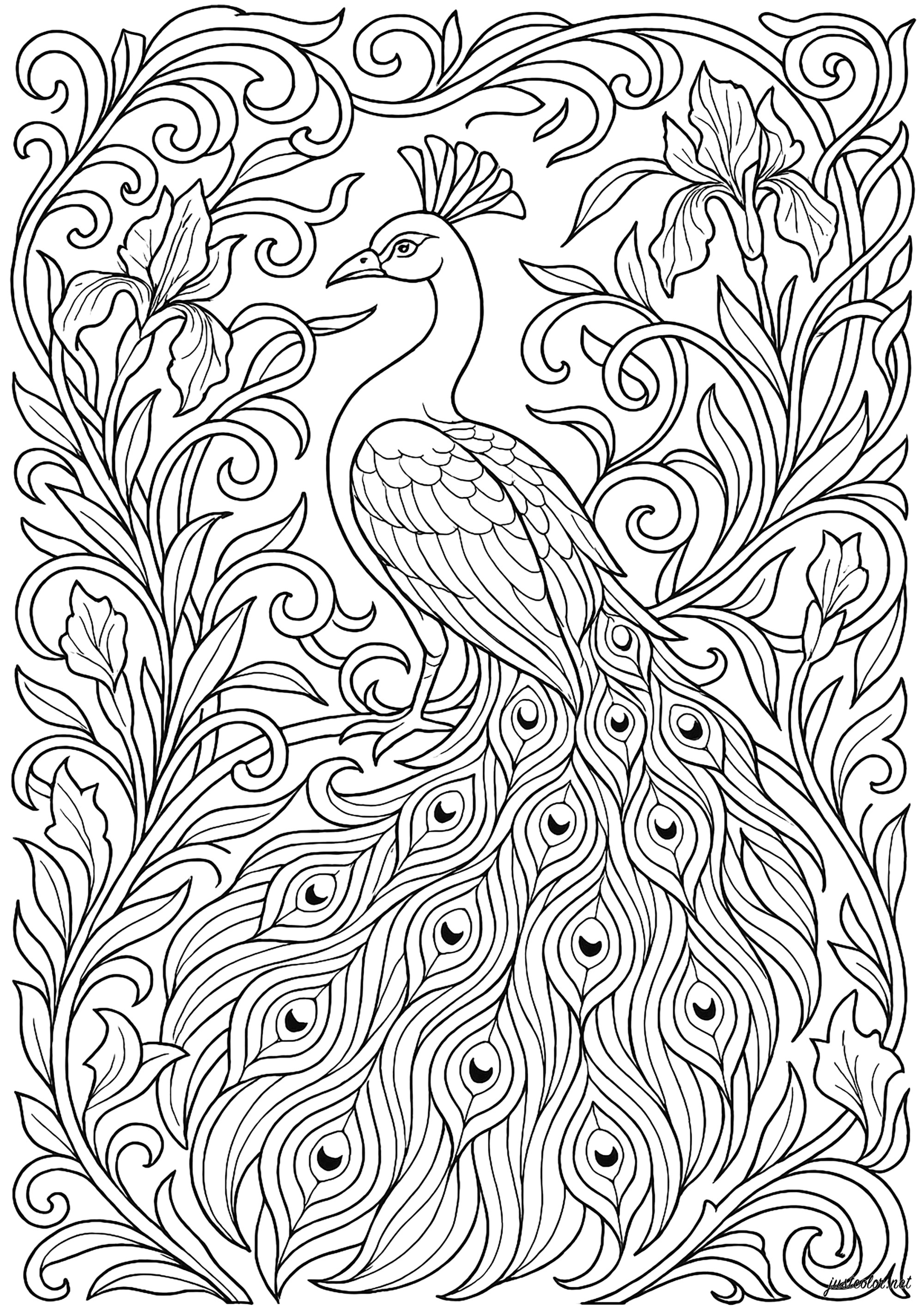 Pavo real majestuoso en un marco Art Nouveau (Página para imprimir para adultos)