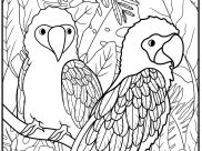 Dibujos de  Aves para colorear