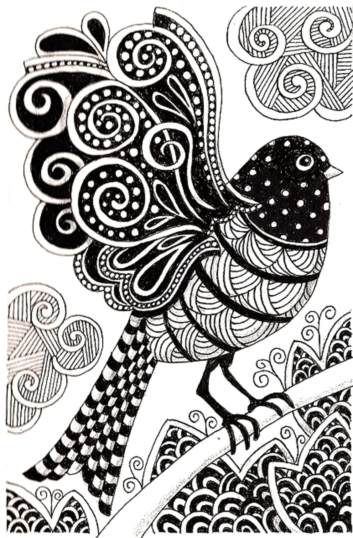 Aves-54739 (Página para imprimir para adultos)