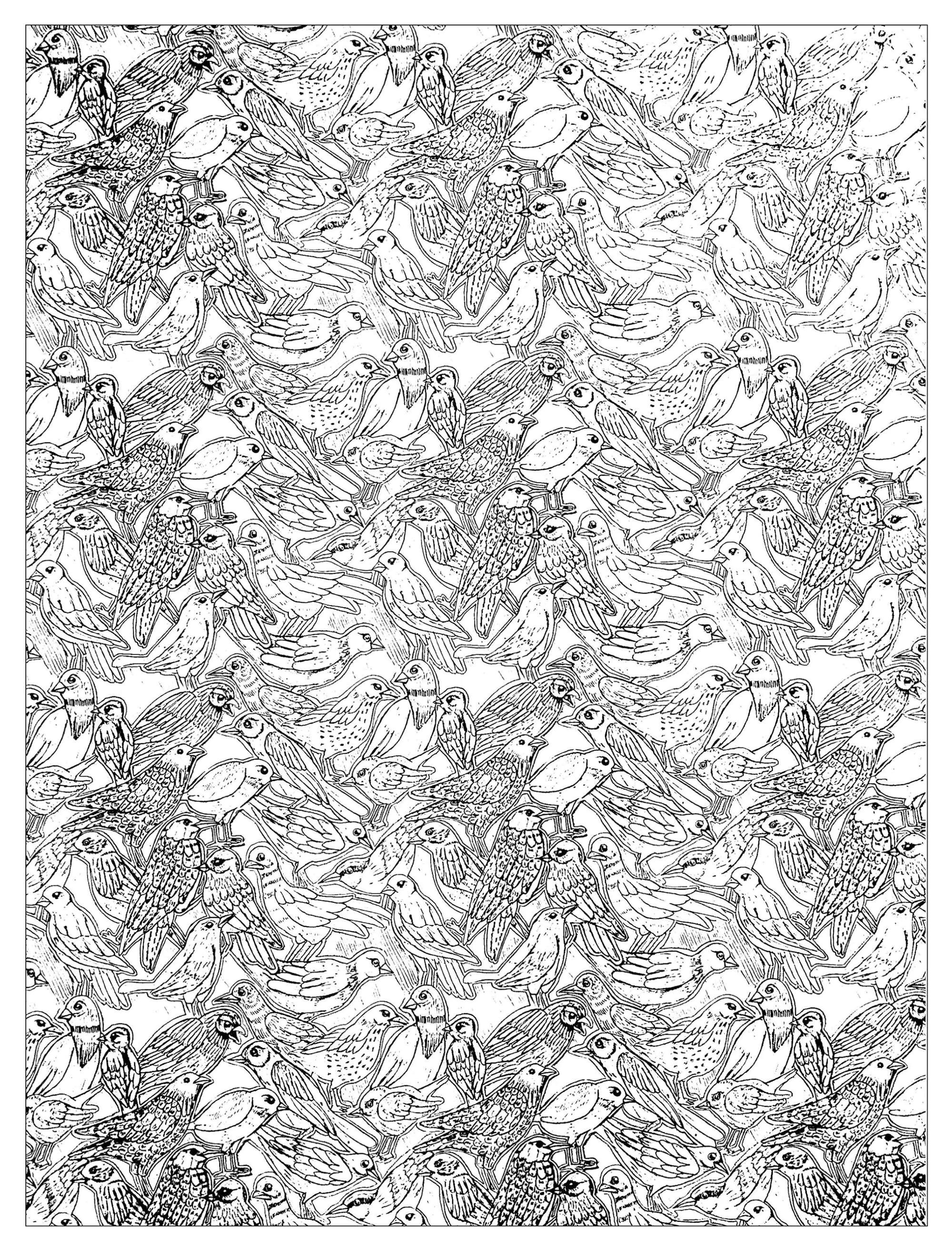 Aves-79084 (Página para imprimir para adultos)