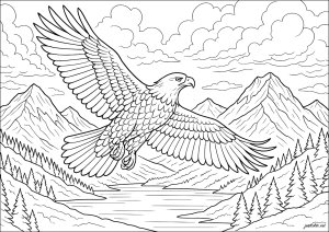 El Águila Real y las Cumbres (Página de Aves  para imprimir)