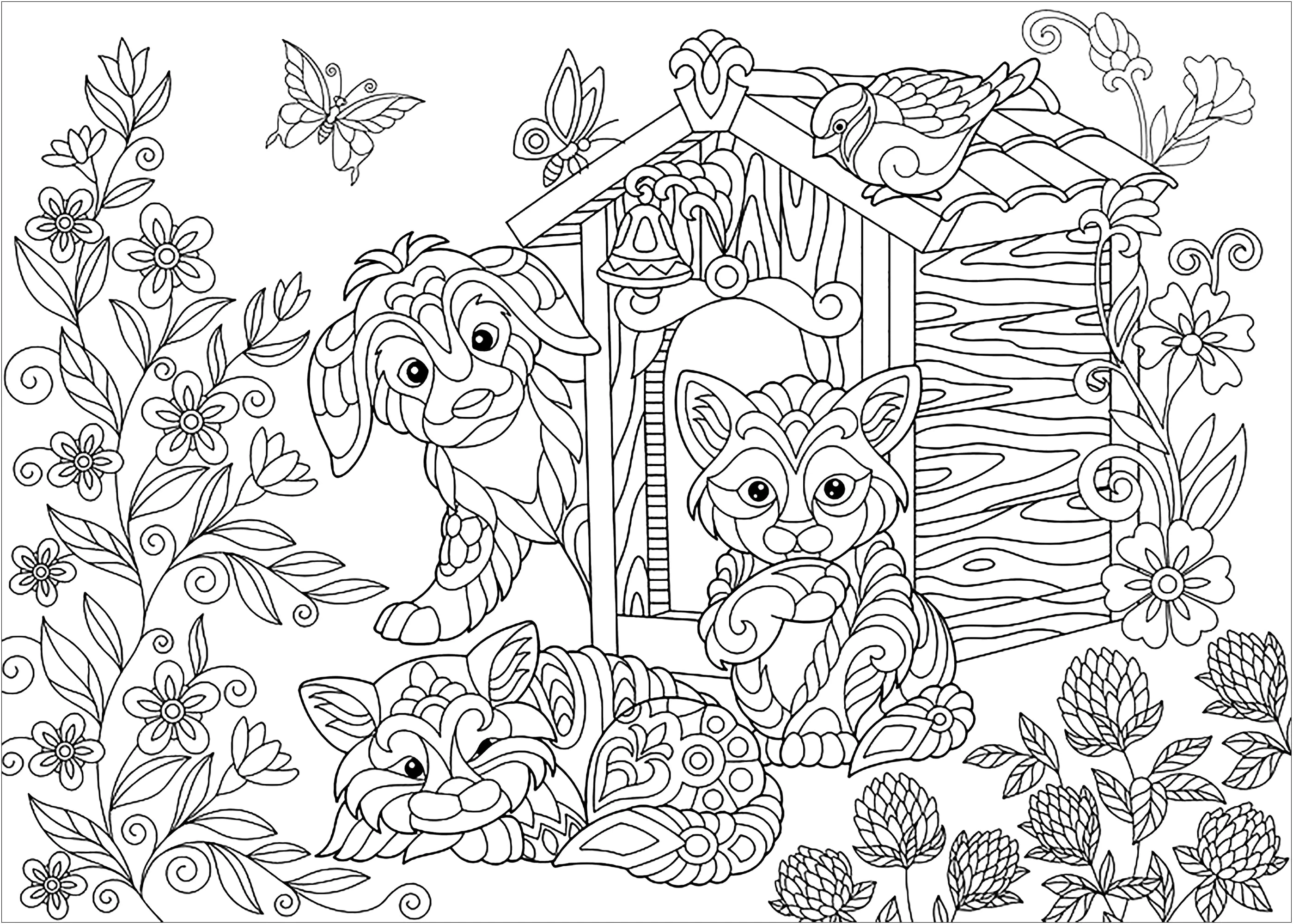 Gatos-12518 (Página para imprimir para adultos)