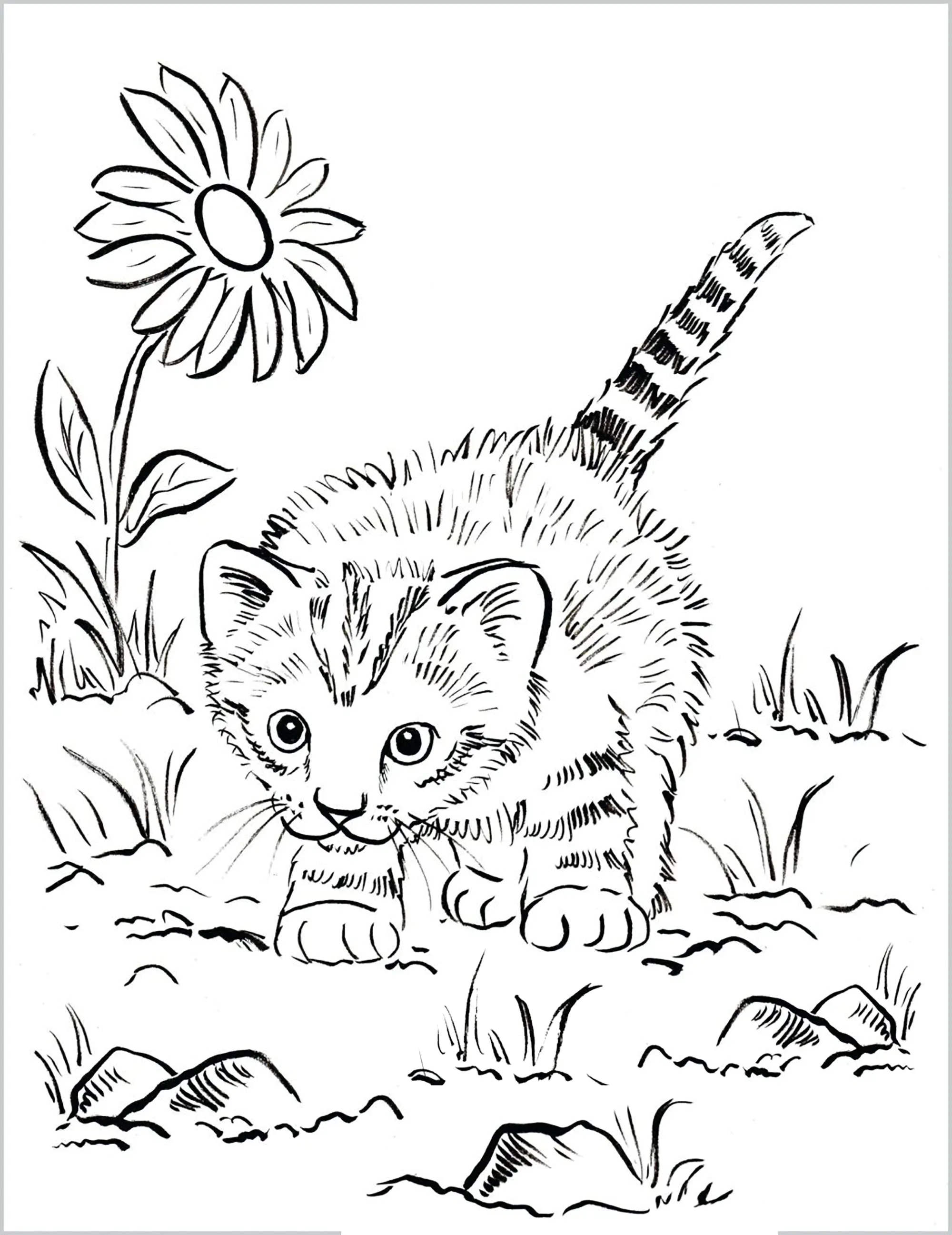 Gatito jugando al aire libre (Página de Gatos para imprimir para adultos)