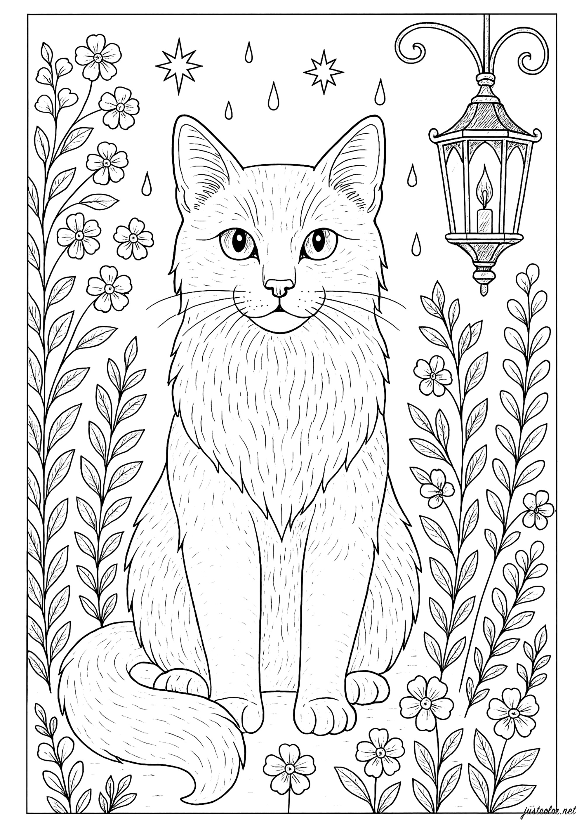 Gato misterioso bajo un farol (Página para imprimir para adultos)