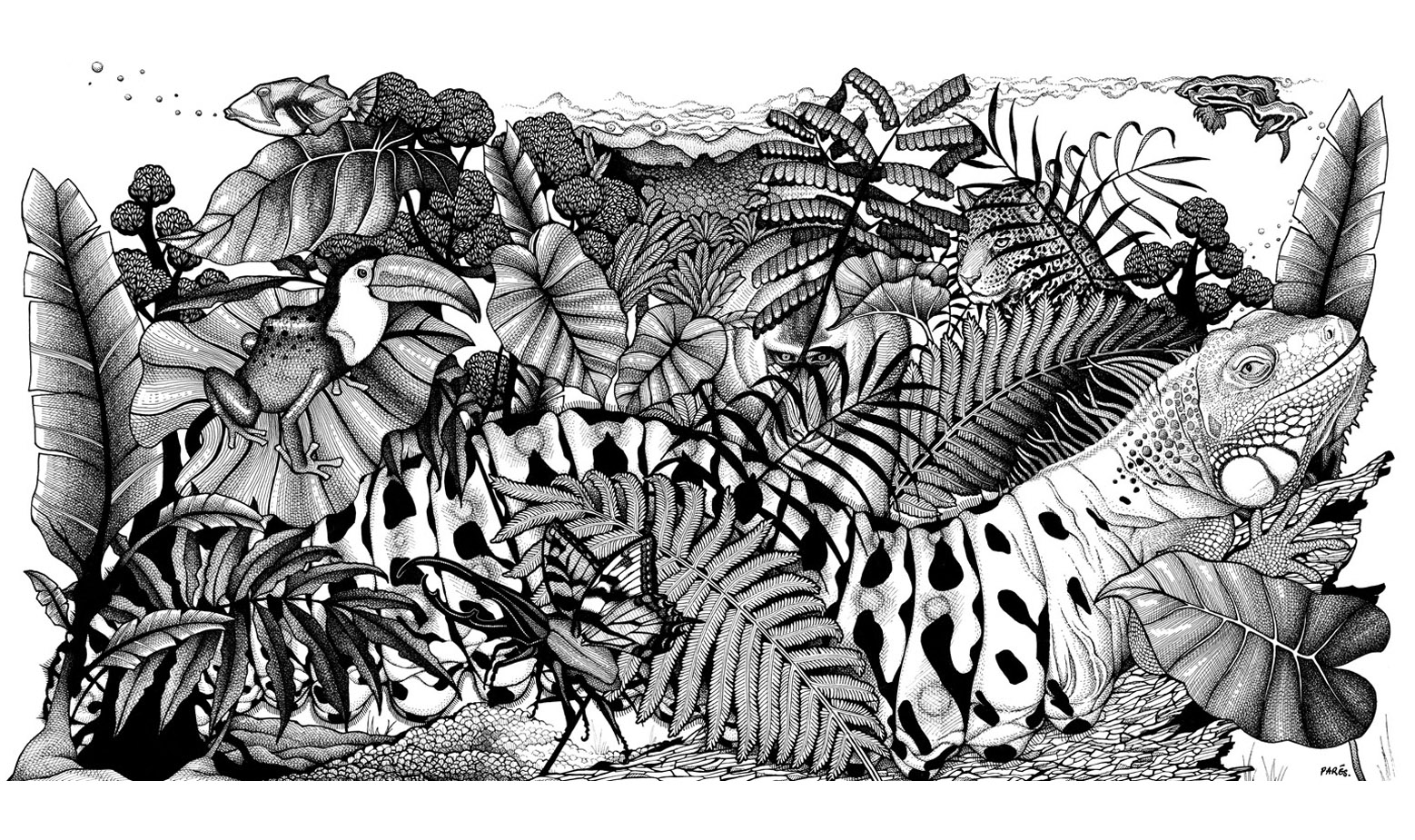 Magnífico dibujo en blanco y negro para imprimir y colorear con una exuberante vegetación que esconde numerosos animales ... Coloreándolos para que sean más fáciles de ver. Muchos detalles, Artista : Paola Parés
