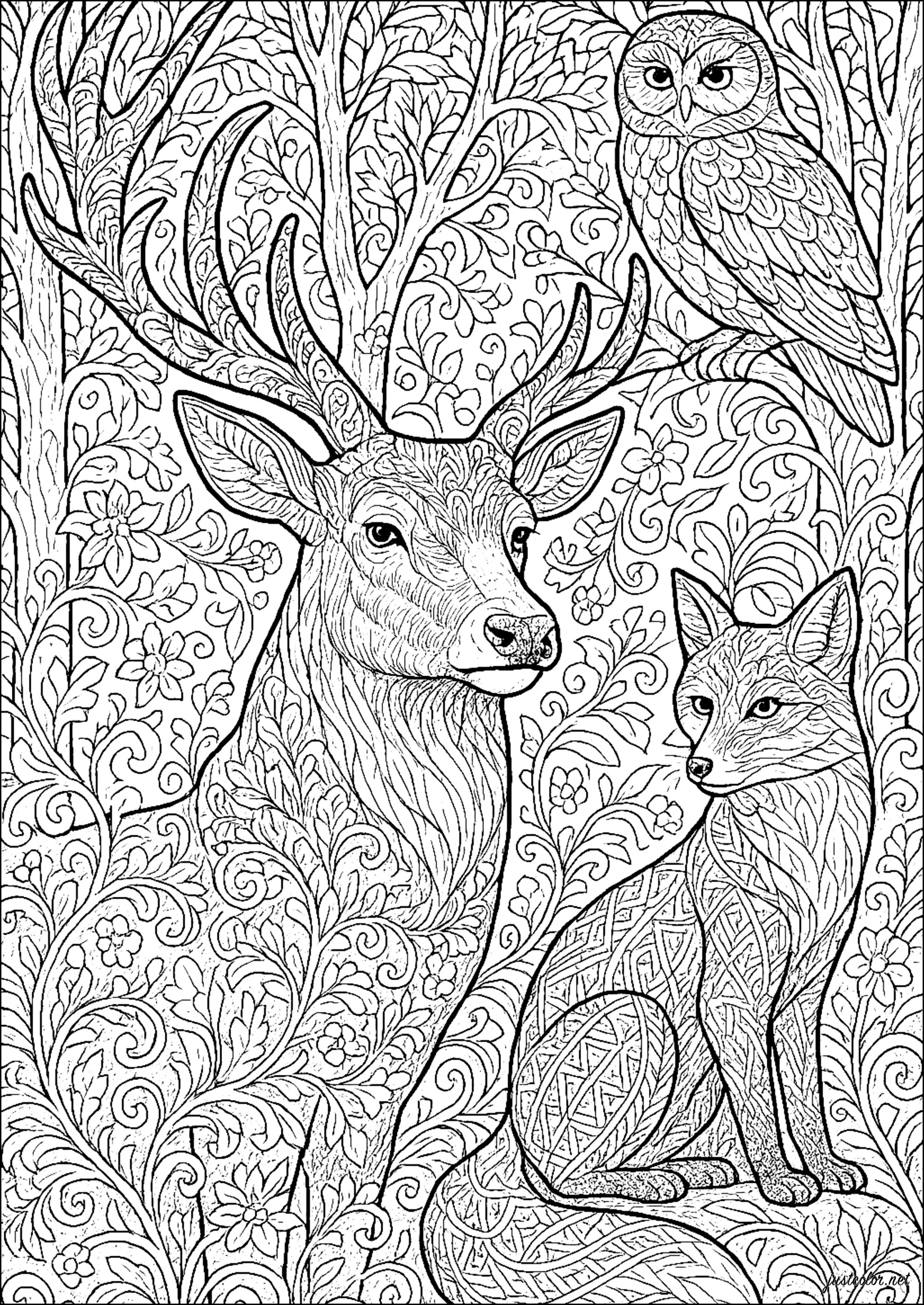 Encuentro encantado en un bosque misterioso (Página de Venados para imprimir para adultos)