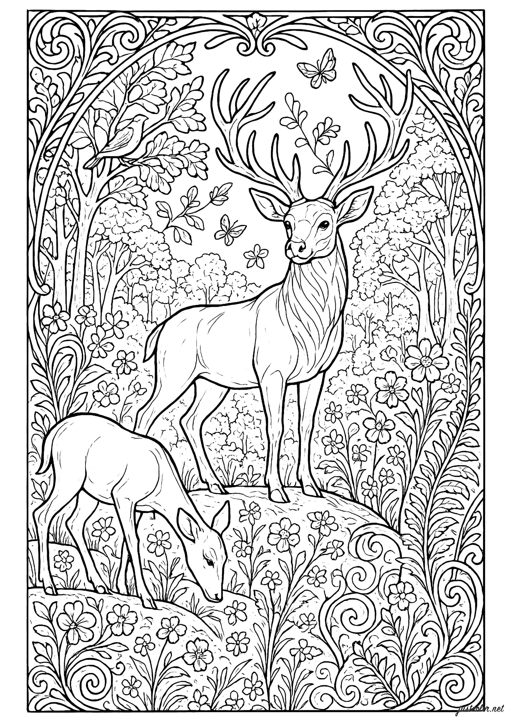 Elegante ciervo en un bosque encantado (Página de Venados para imprimir para adultos)