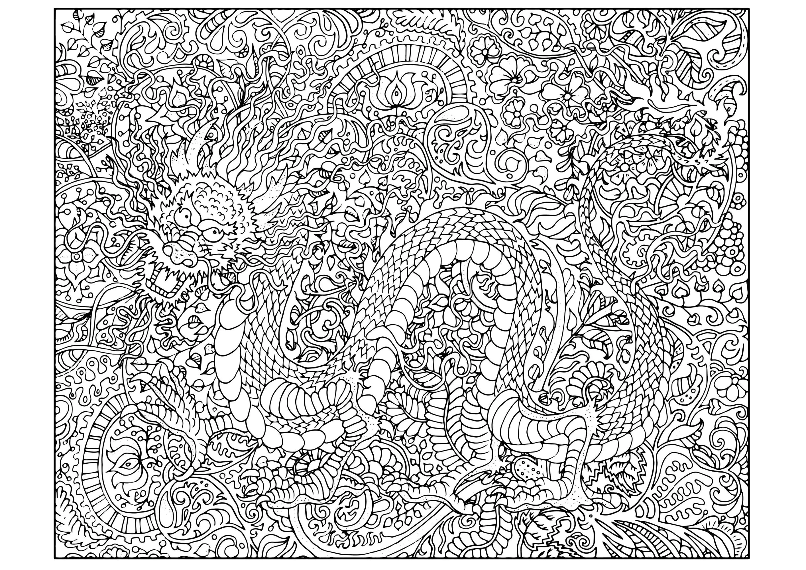 Dragones-20059 (Página para imprimir para adultos)