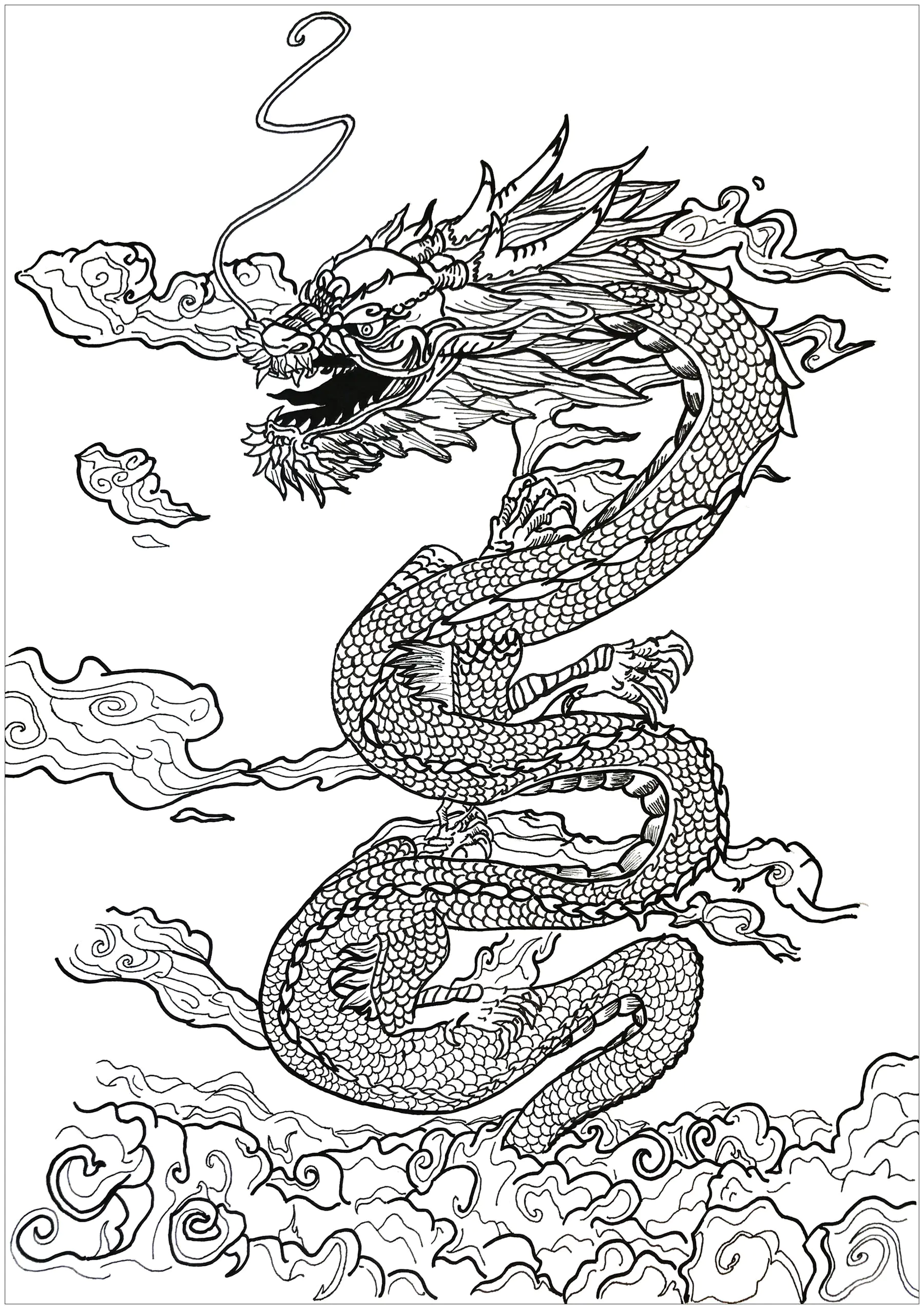 Dragones-21388 (Página para imprimir para adultos)