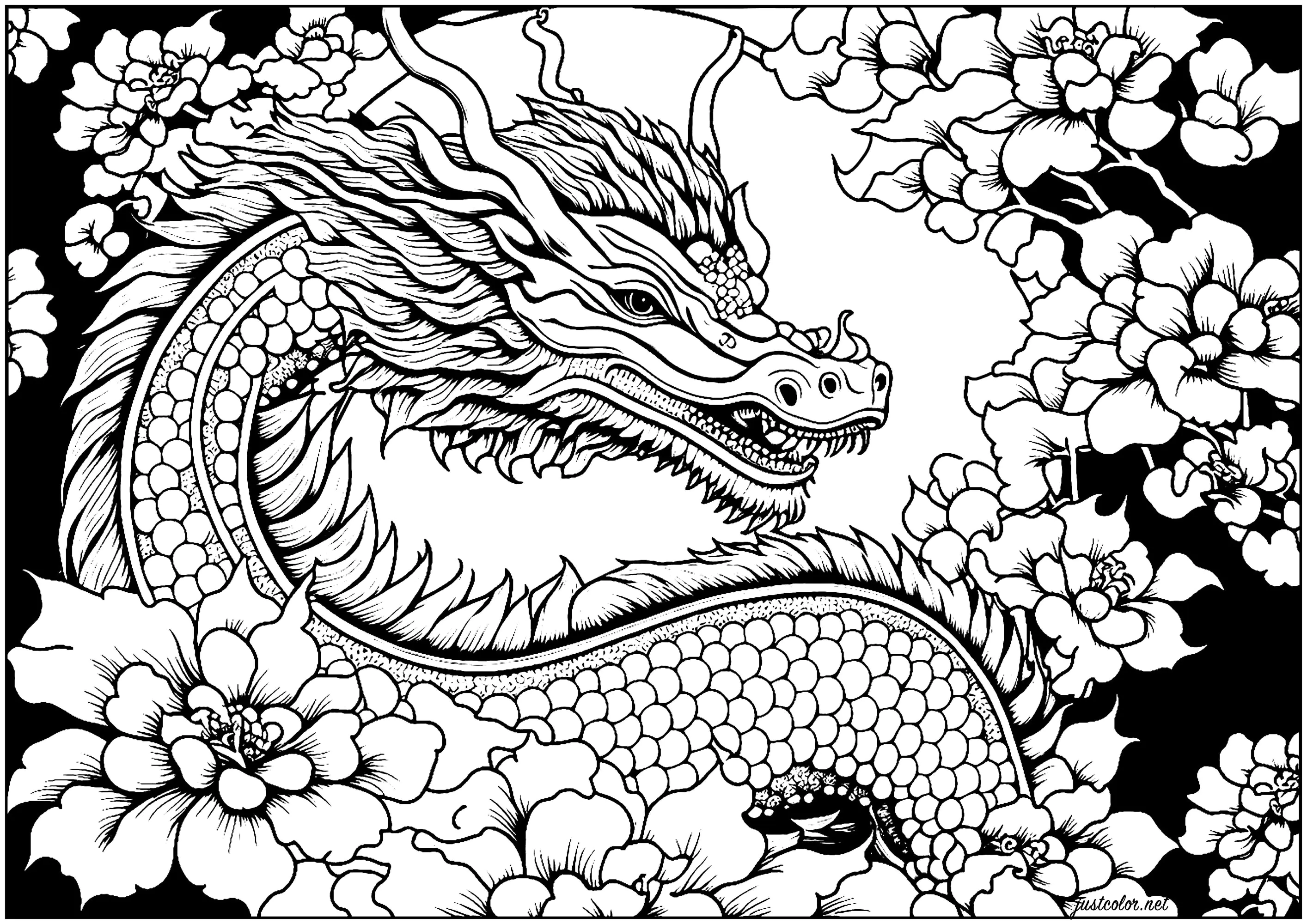 Dragón y flores (Página de Dragones para imprimir para adultos)