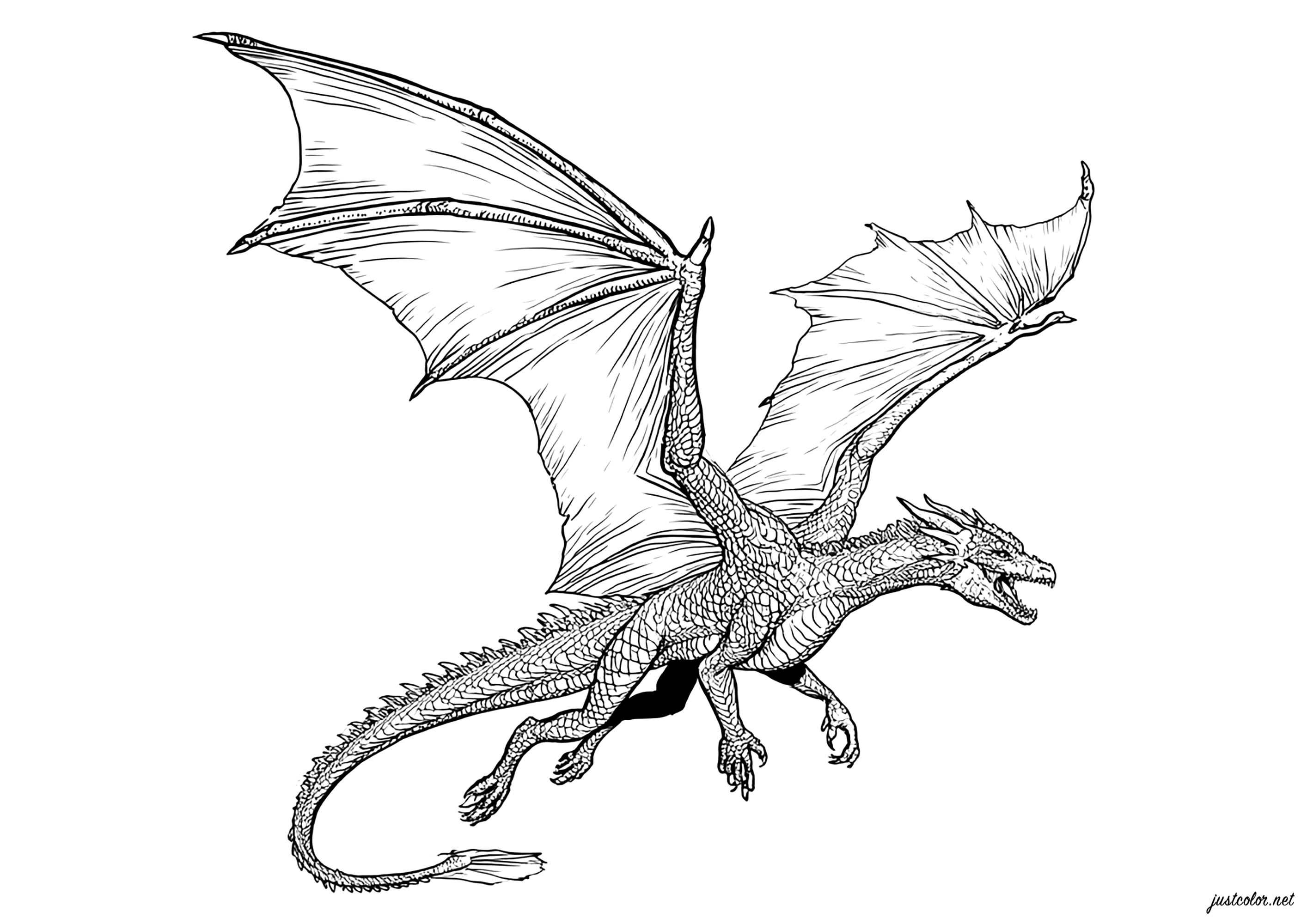Majestuoso dragón con alas extendidas - Páginas de Dragones para imprimir, image size:2828x2000