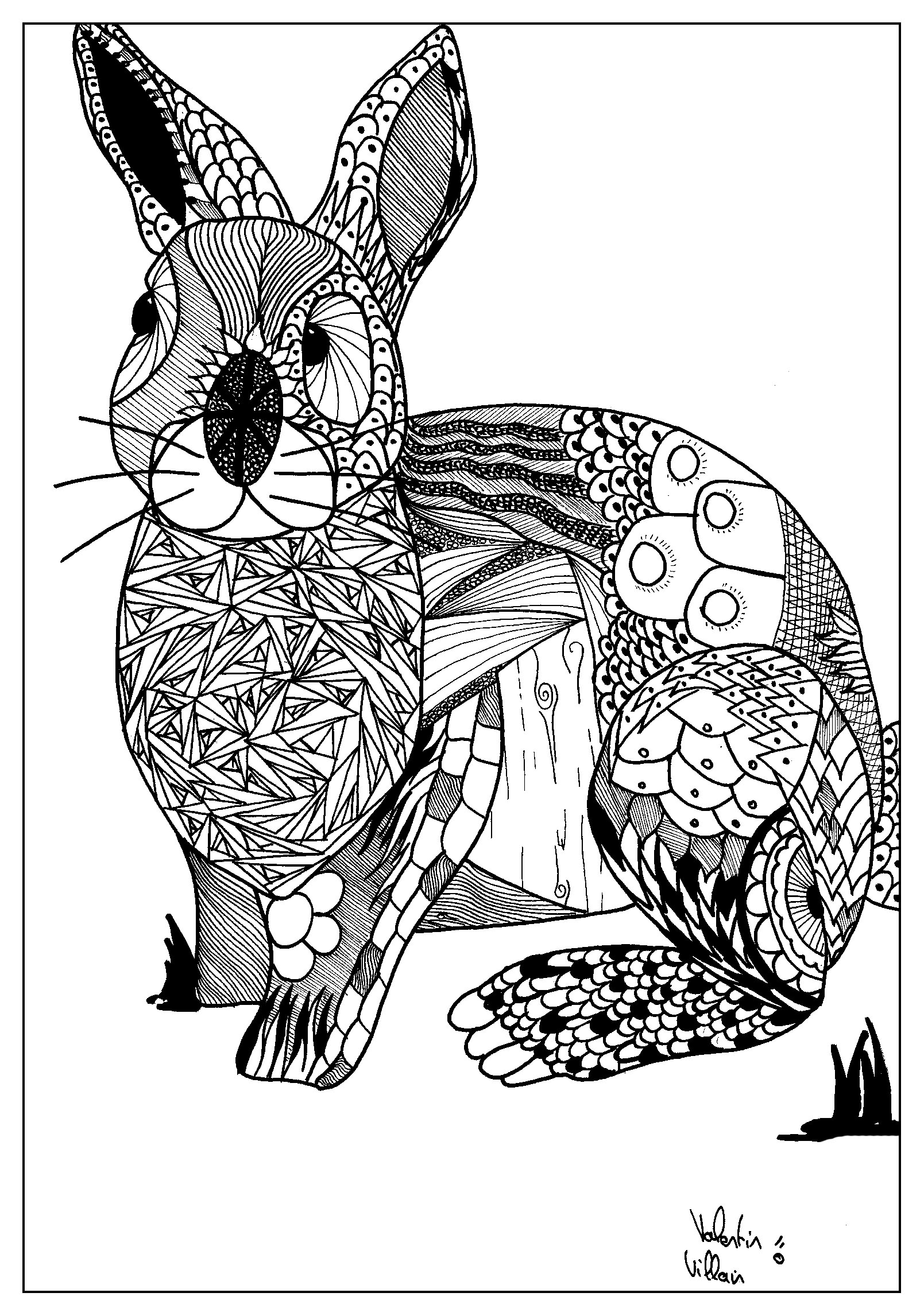 Conejo dibujado con estilo Zentangle