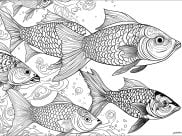 Páginas de Peces para imprimir para adultos