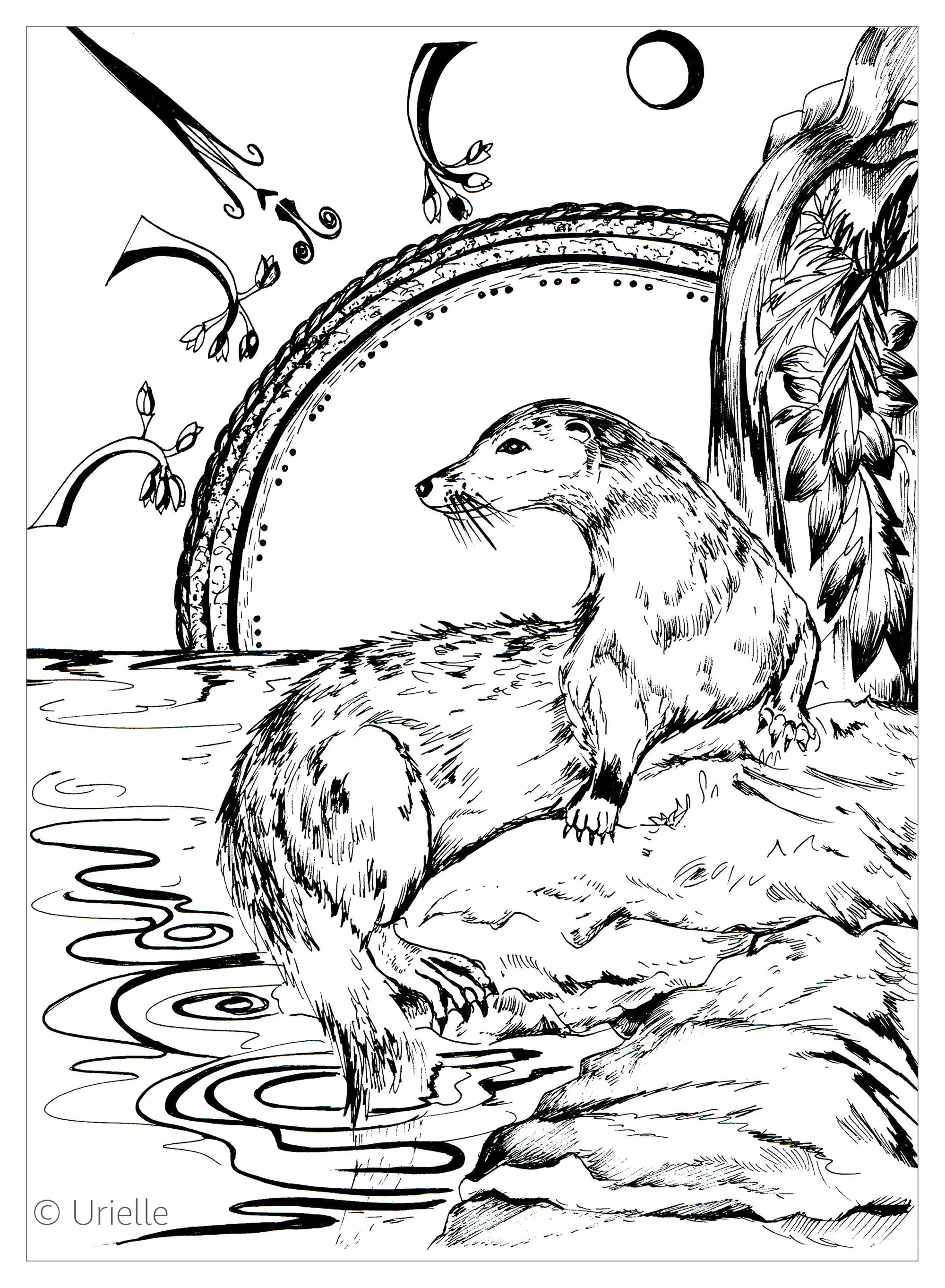 La nutria (Página de Peces para imprimir para adultos)
