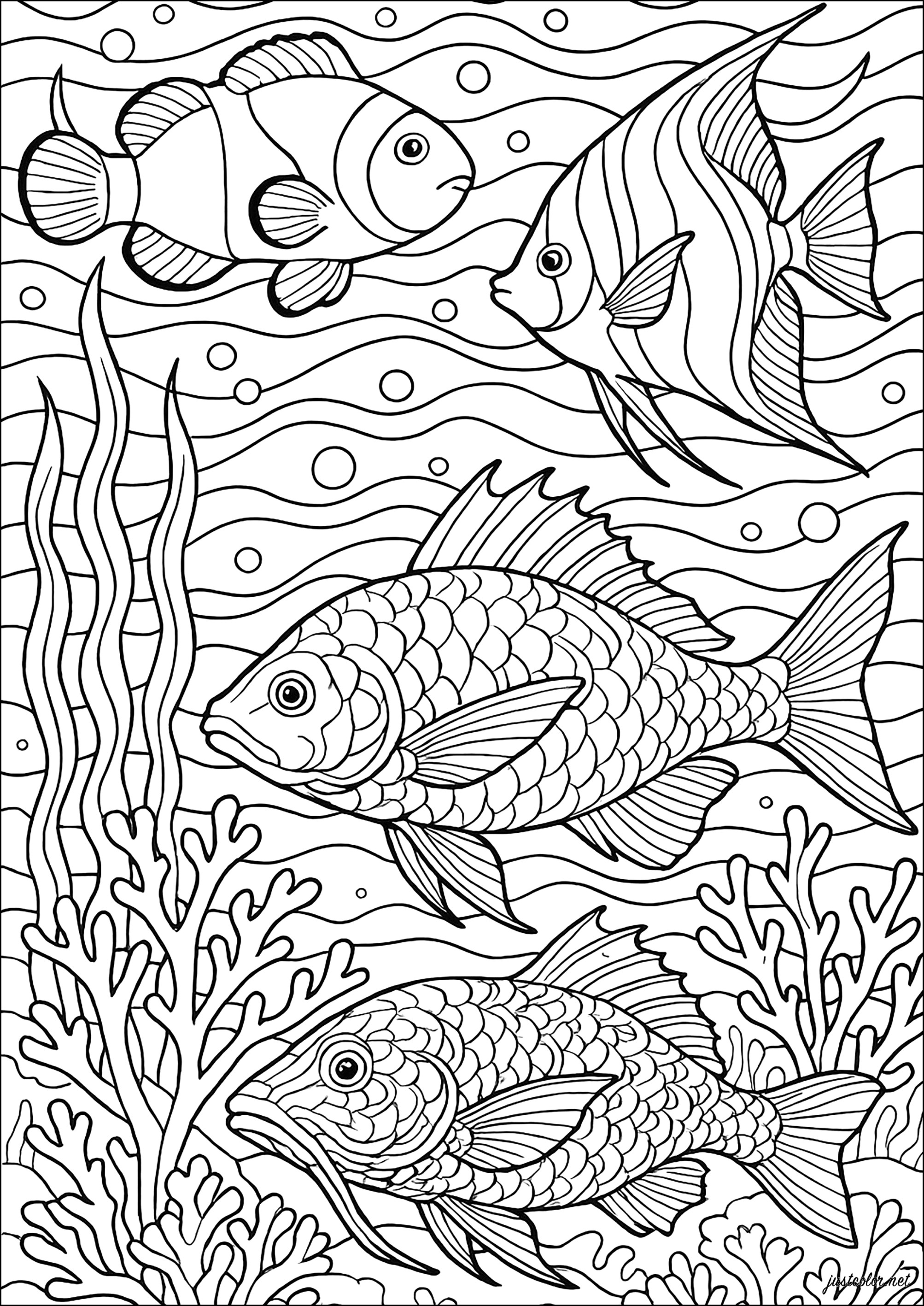 Trío Marín (Página de Peces para imprimir para adultos)