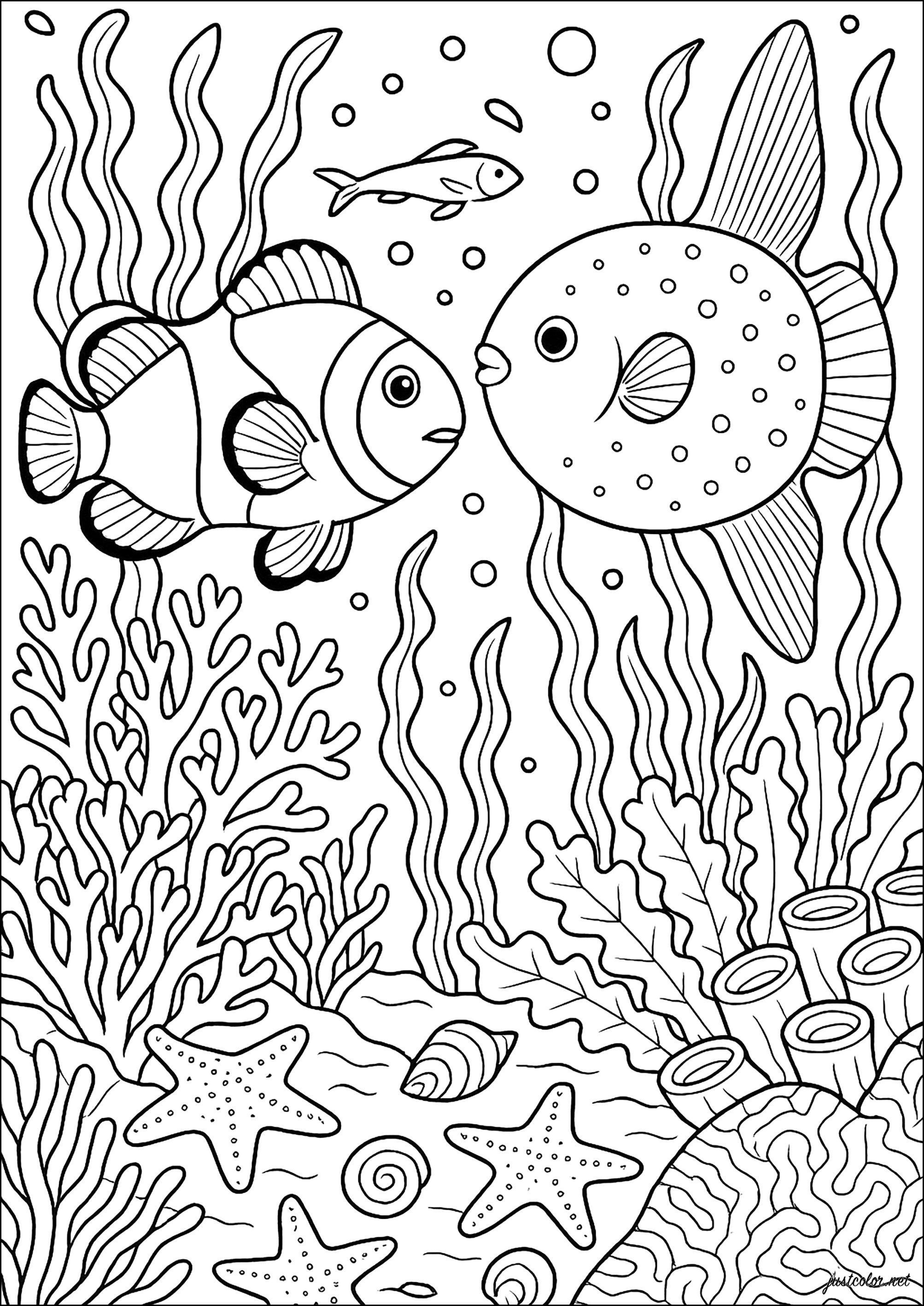 Paseo bajo el coral (Página de Peces para imprimir para adultos)