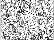 Peces