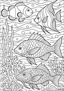 Trío Marín (Página de Peces para imprimir)