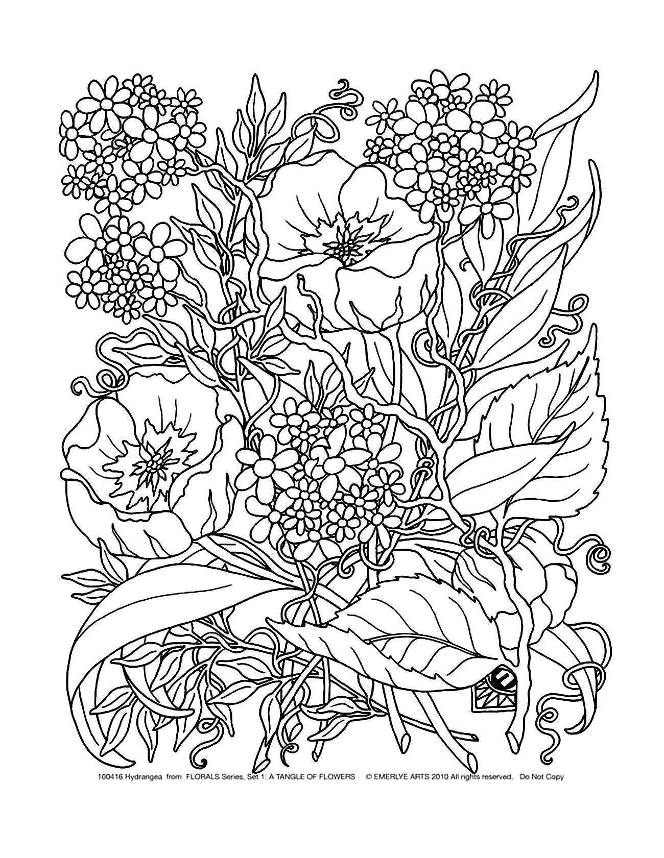 Colorear para adultos : Flores y vegetación - 29