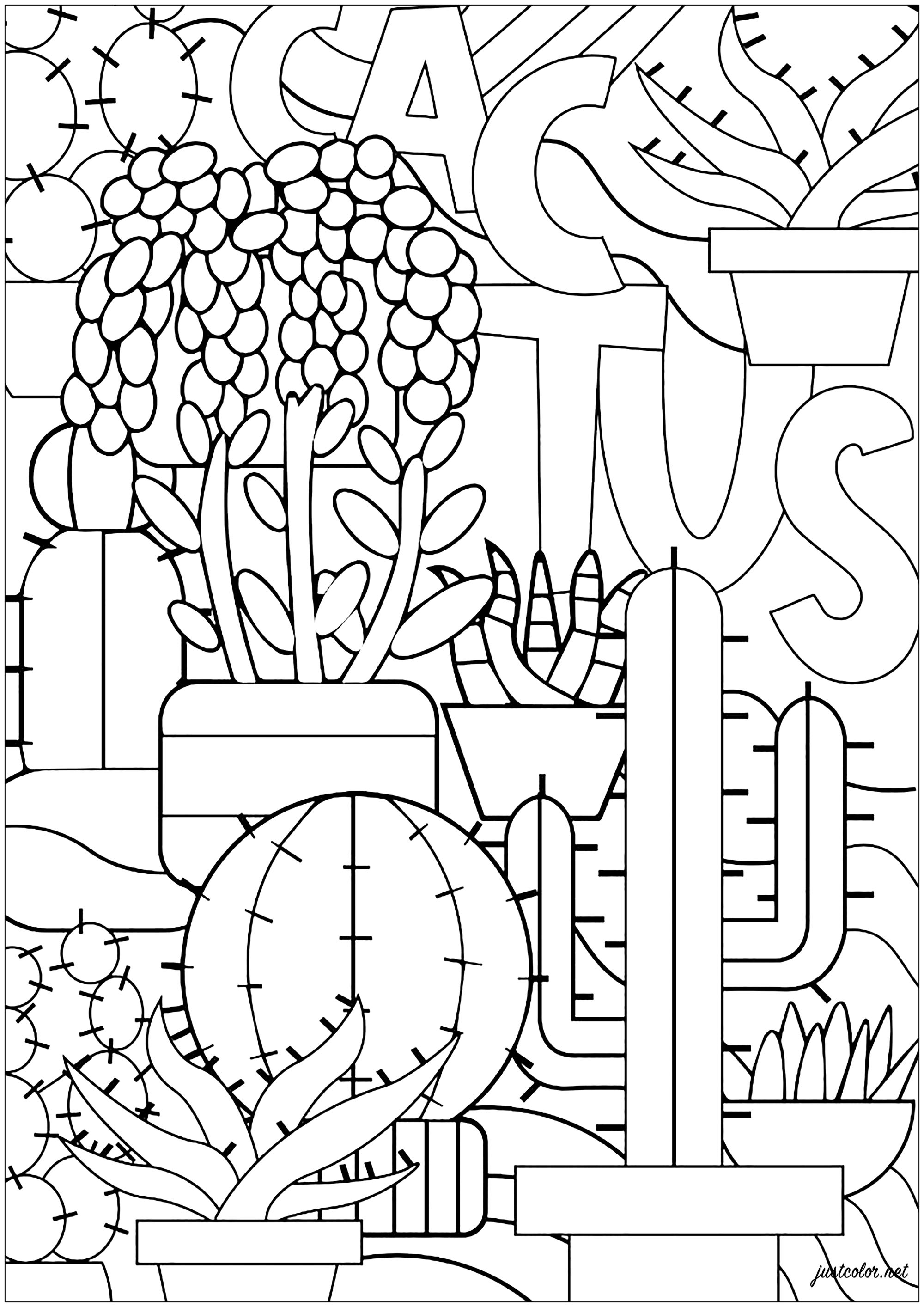 Diversas variedades de cactus para colorear, Artista : Théo D