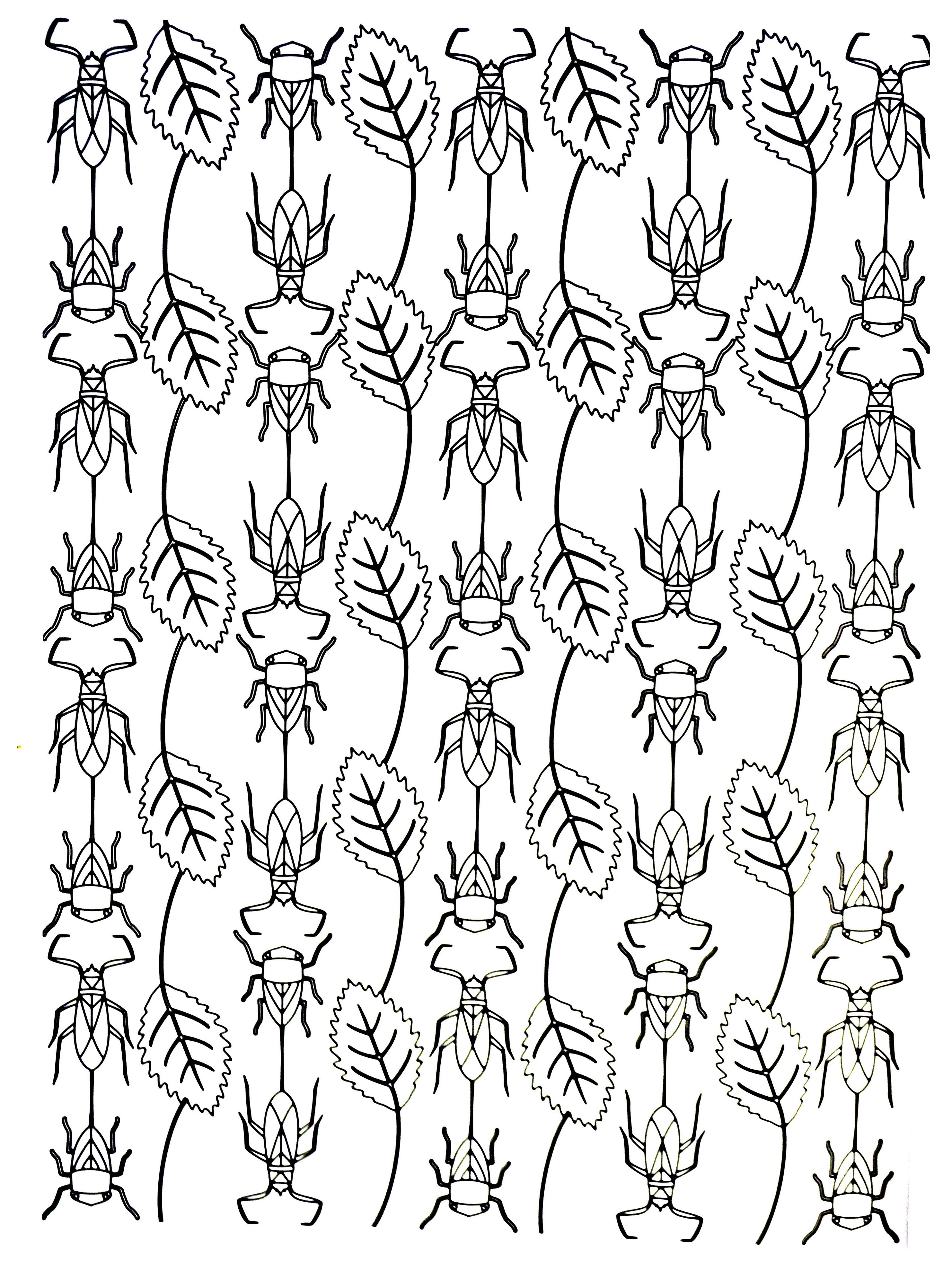 Colorear para adultos : Flores y vegetación - 13 Colorear para adultos : Flores y vegetación - 13