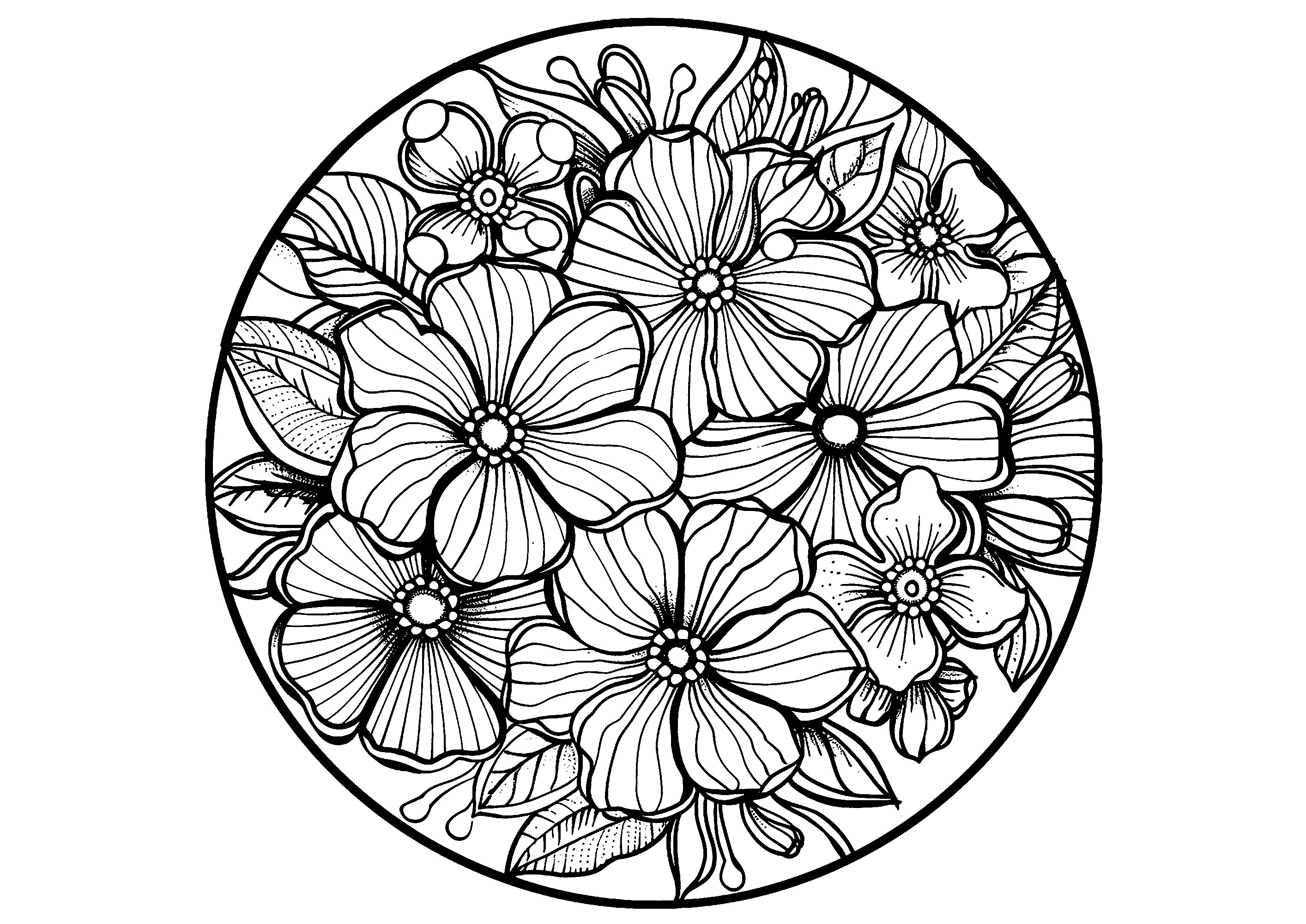 Flores delicadas con formas cautivadoras (Página de Flores y vegetación para imprimir para adultos)