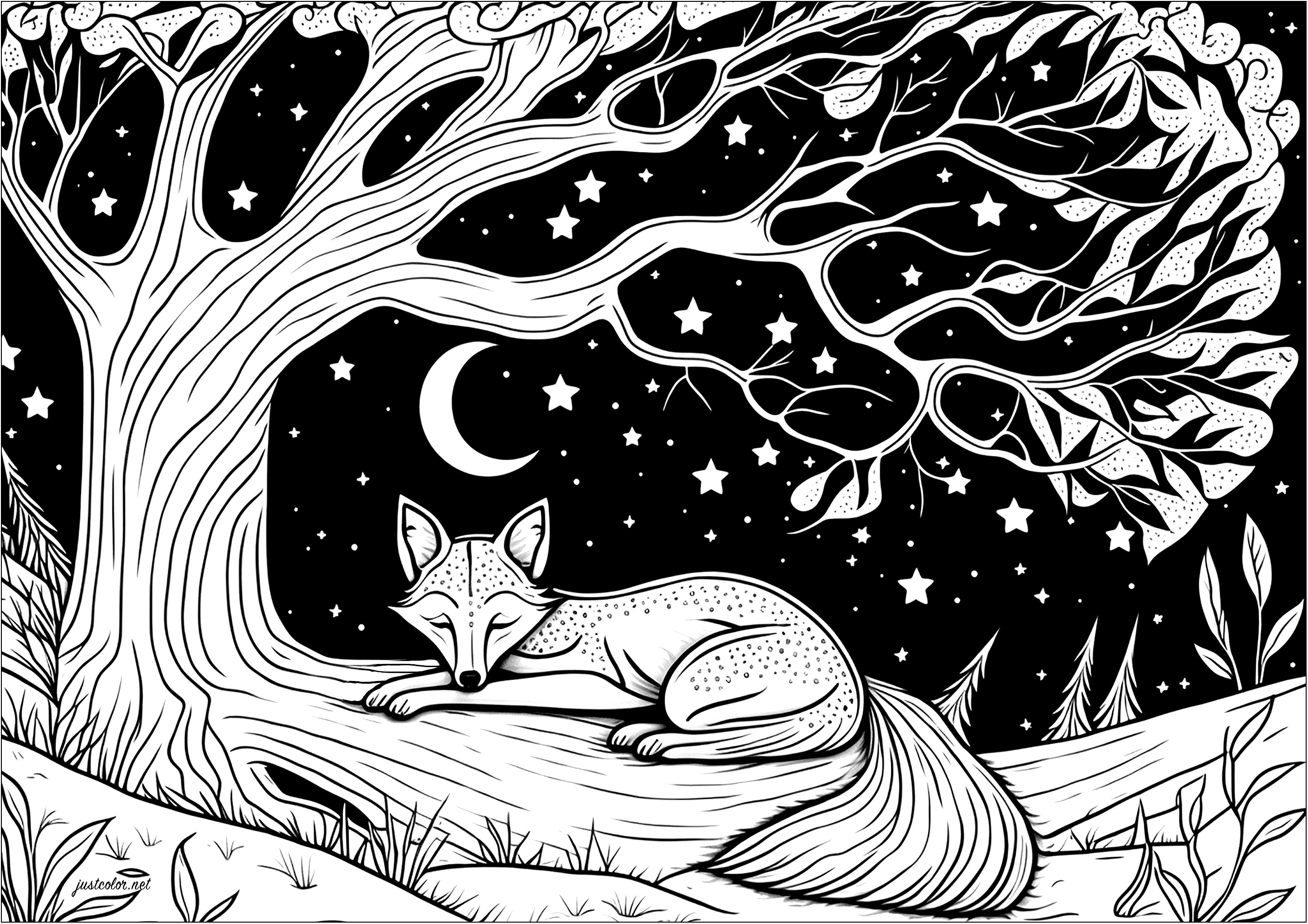 Coloreado de un zorro dormido tumbado en la rama de un árbol. Aquí tienes a un zorro durmiendo plácidamente bajo un magnífico árbol. Bajo este cielo estrellado, ¡parece soñar con grandes aventuras!