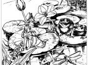 Ranas