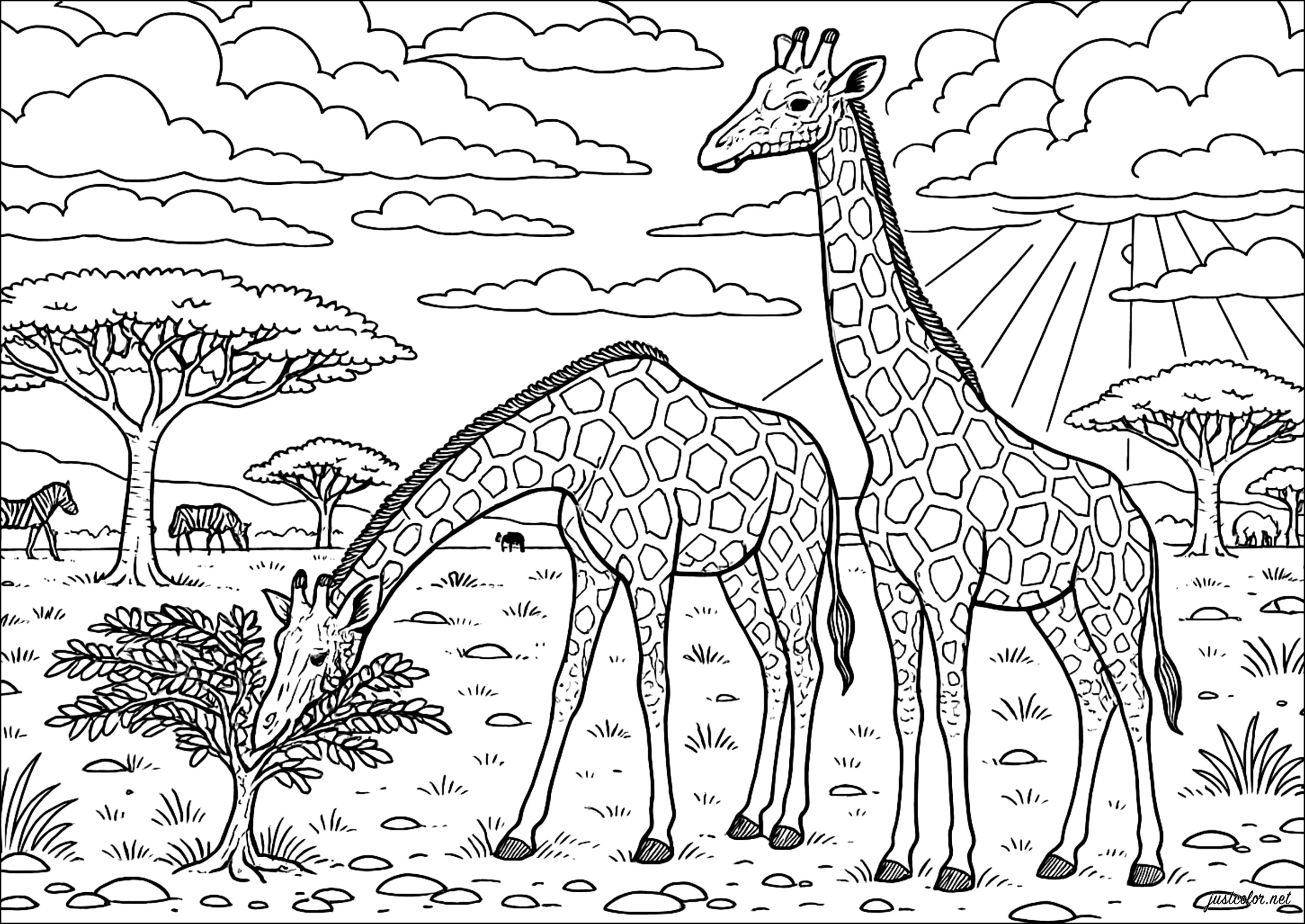 Majestuosas jirafas bajo el cielo africano (Página para imprimir para adultos)