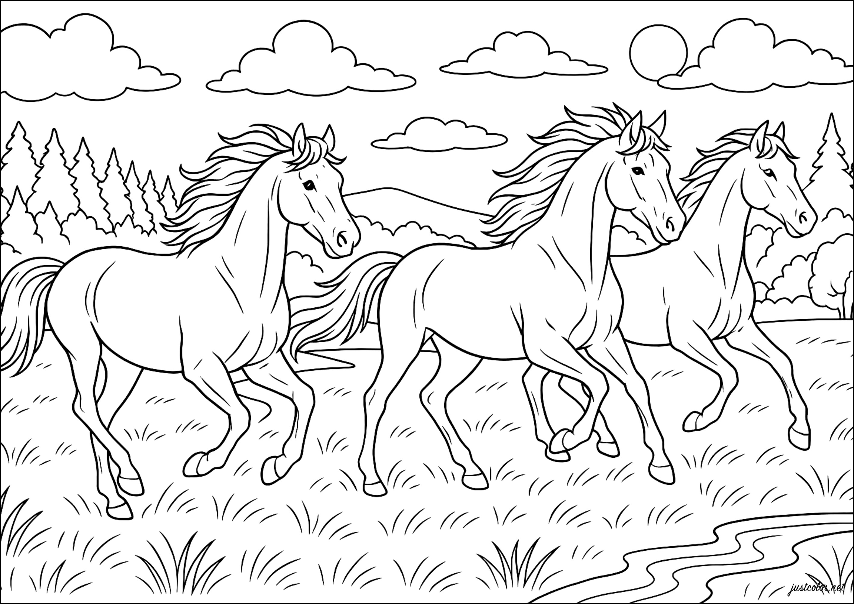 Trío Ecuestre en Libertad (Página de Caballos para imprimir para adultos)