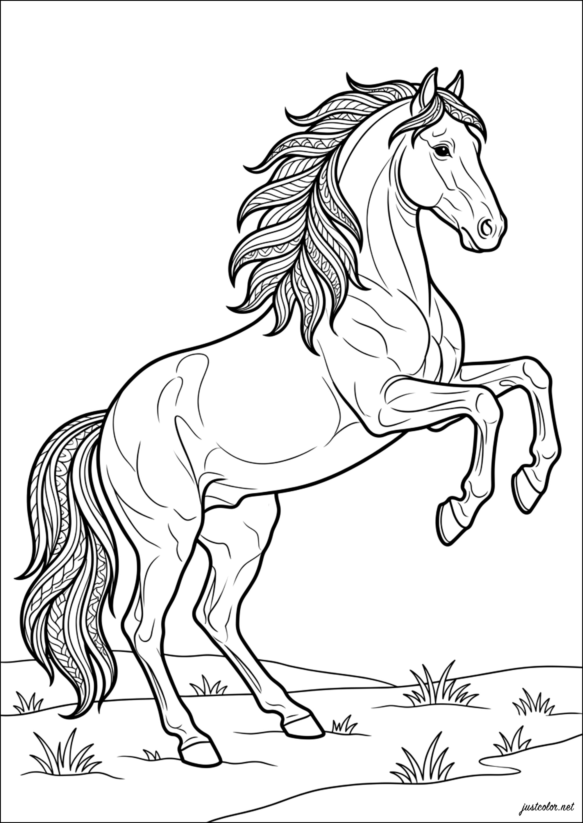 Caballo con una crin llena de patrones para colorear