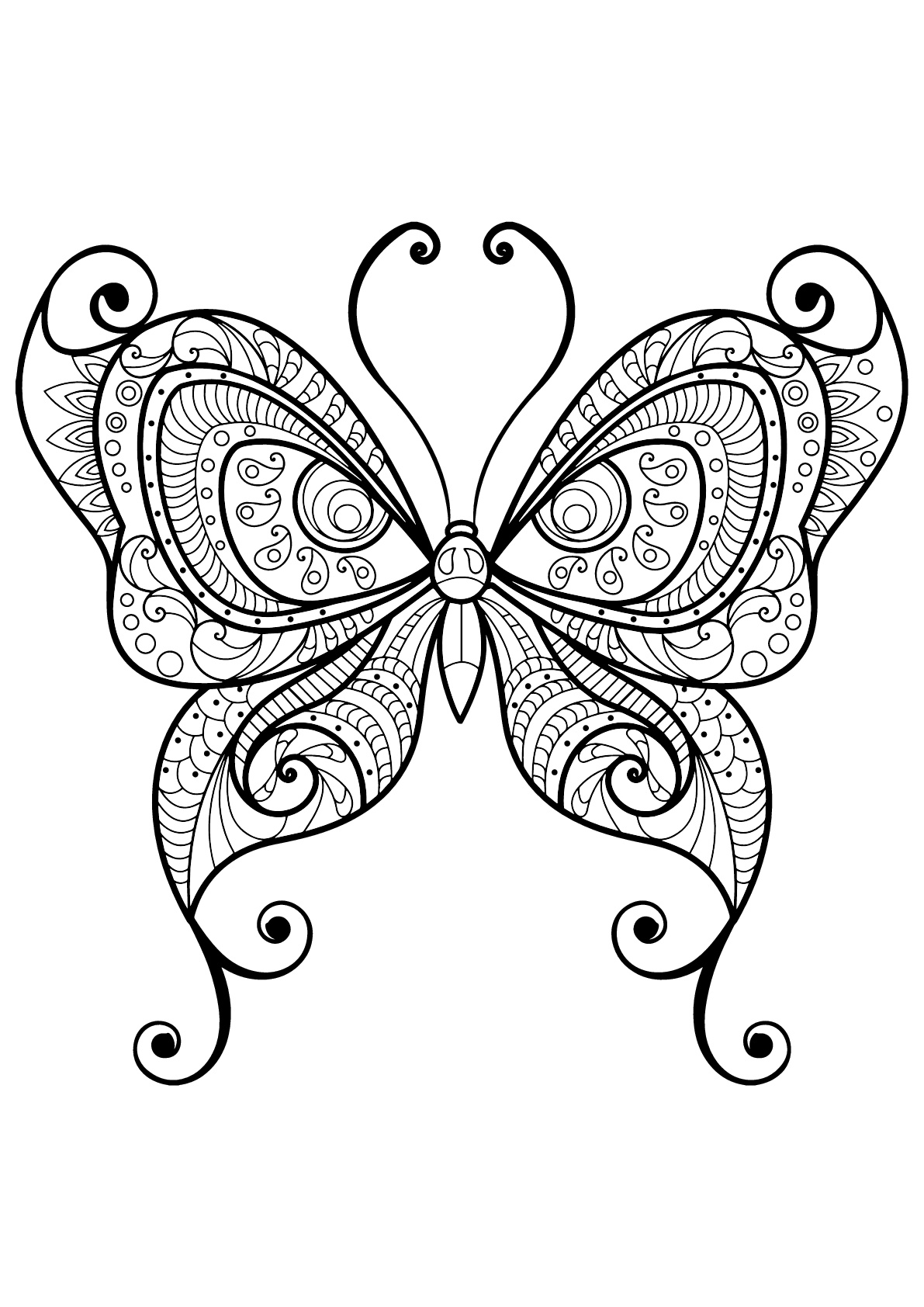 Dibujos para colorear para adultos Animales : Mariposas 1  Dibujos para colorear  adultos, Páginas para colorear de animales, Dibujos para colorear