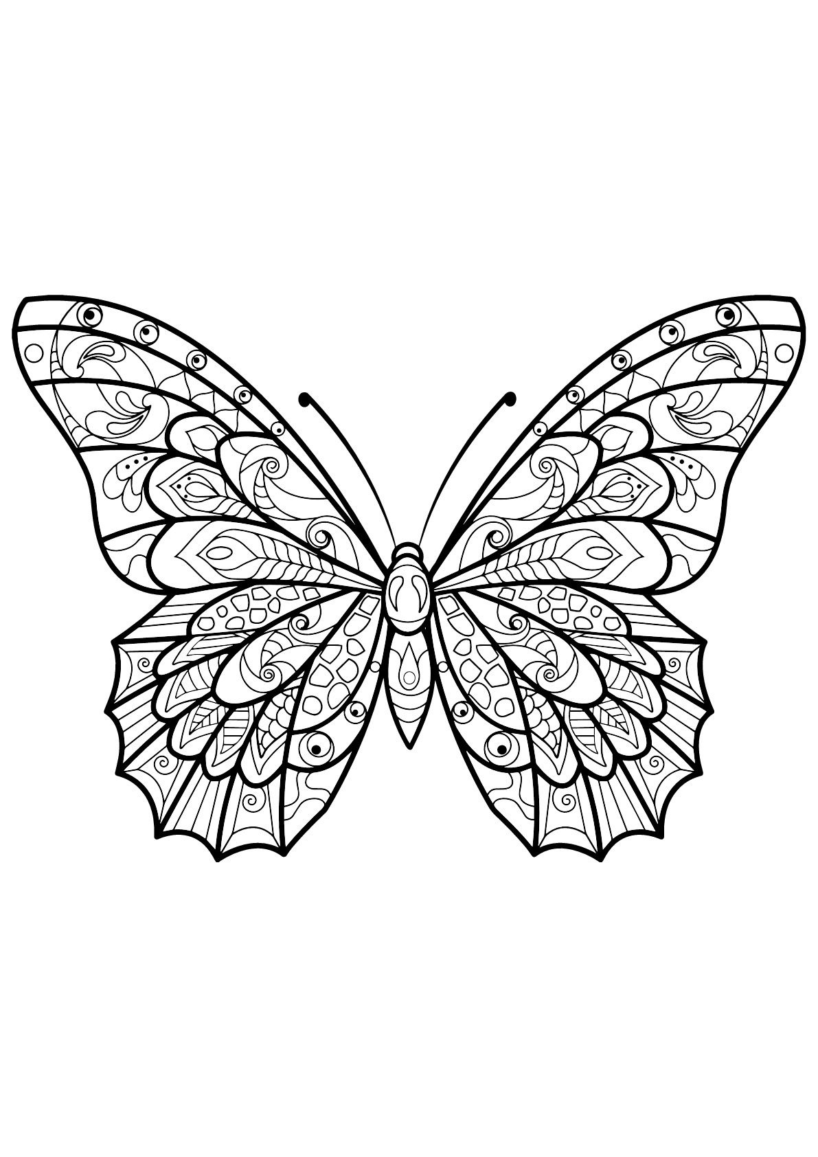 Mariposa página para colorear con hermosos diseños - 3