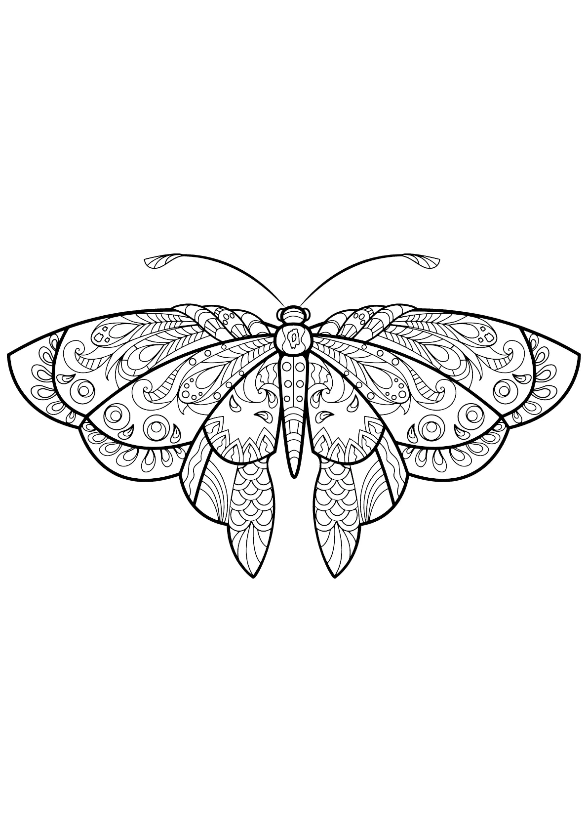 Insectos-72286 (Página de Mariposas e insectos para imprimir para adultos)