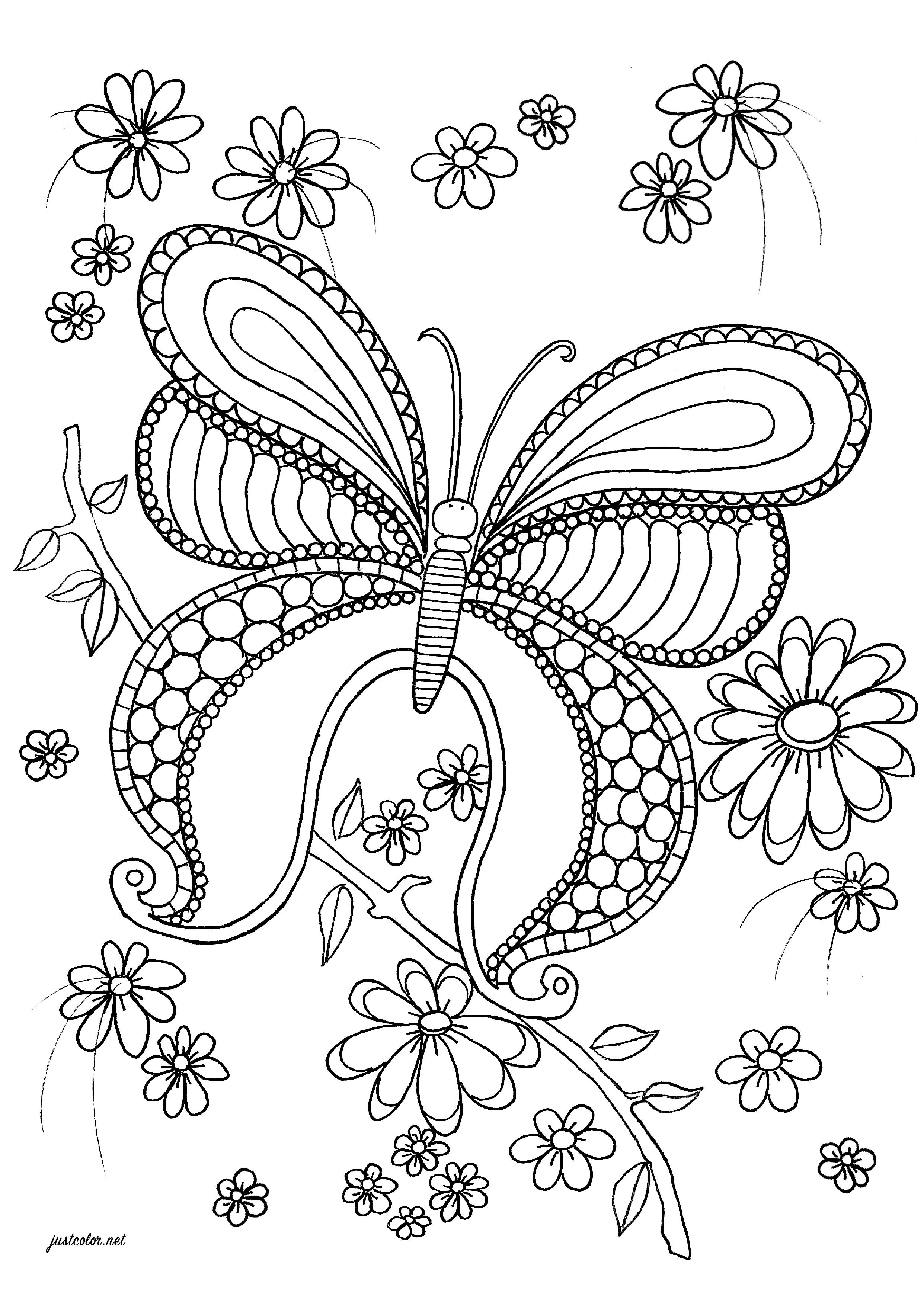 Simpática mariposa con bonitos dibujos para colorear y elegantes flores alrededor, Artista : Marie-Claude Fontaine