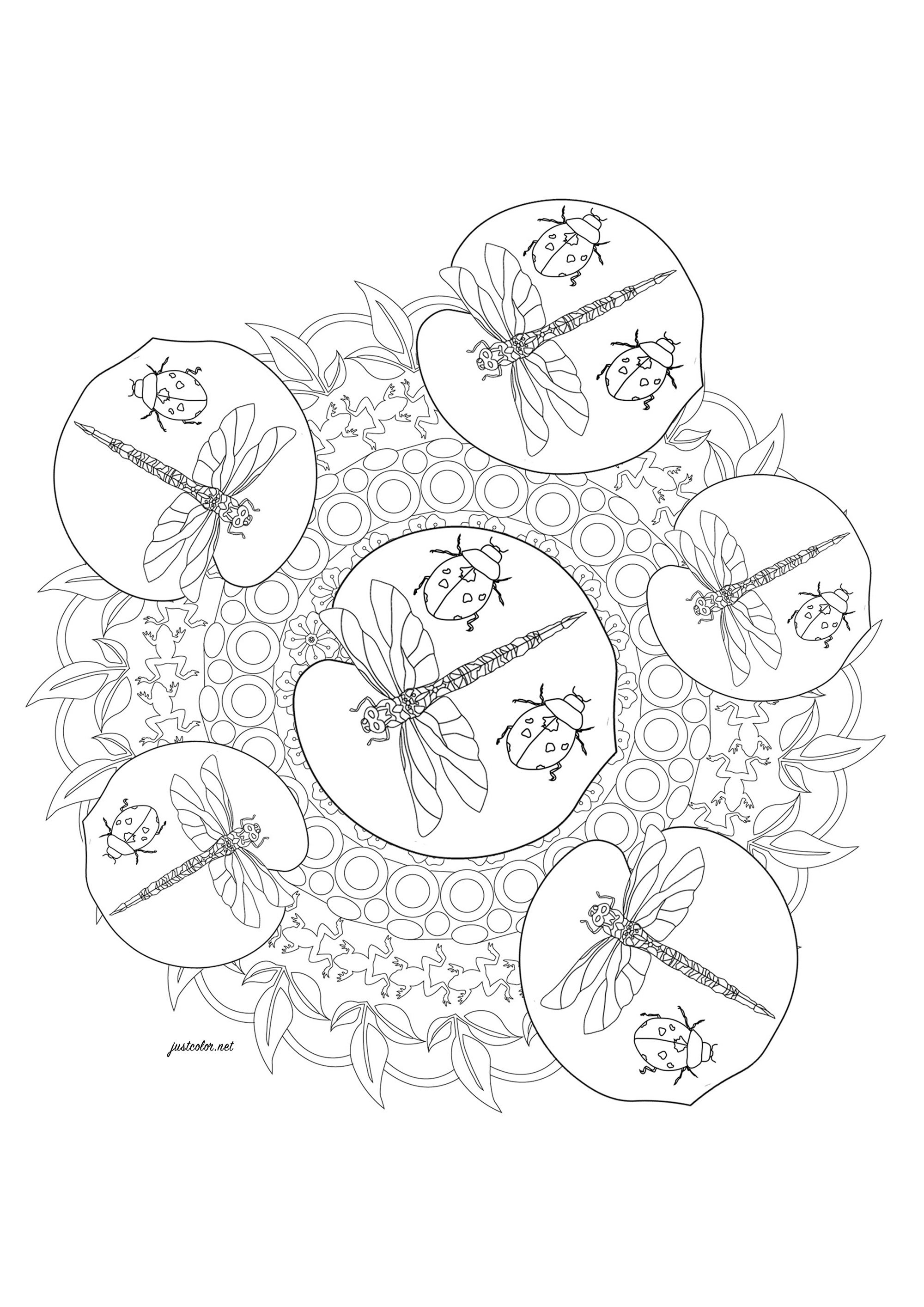 Mariquita y libélulas delante de un hermoso mandala