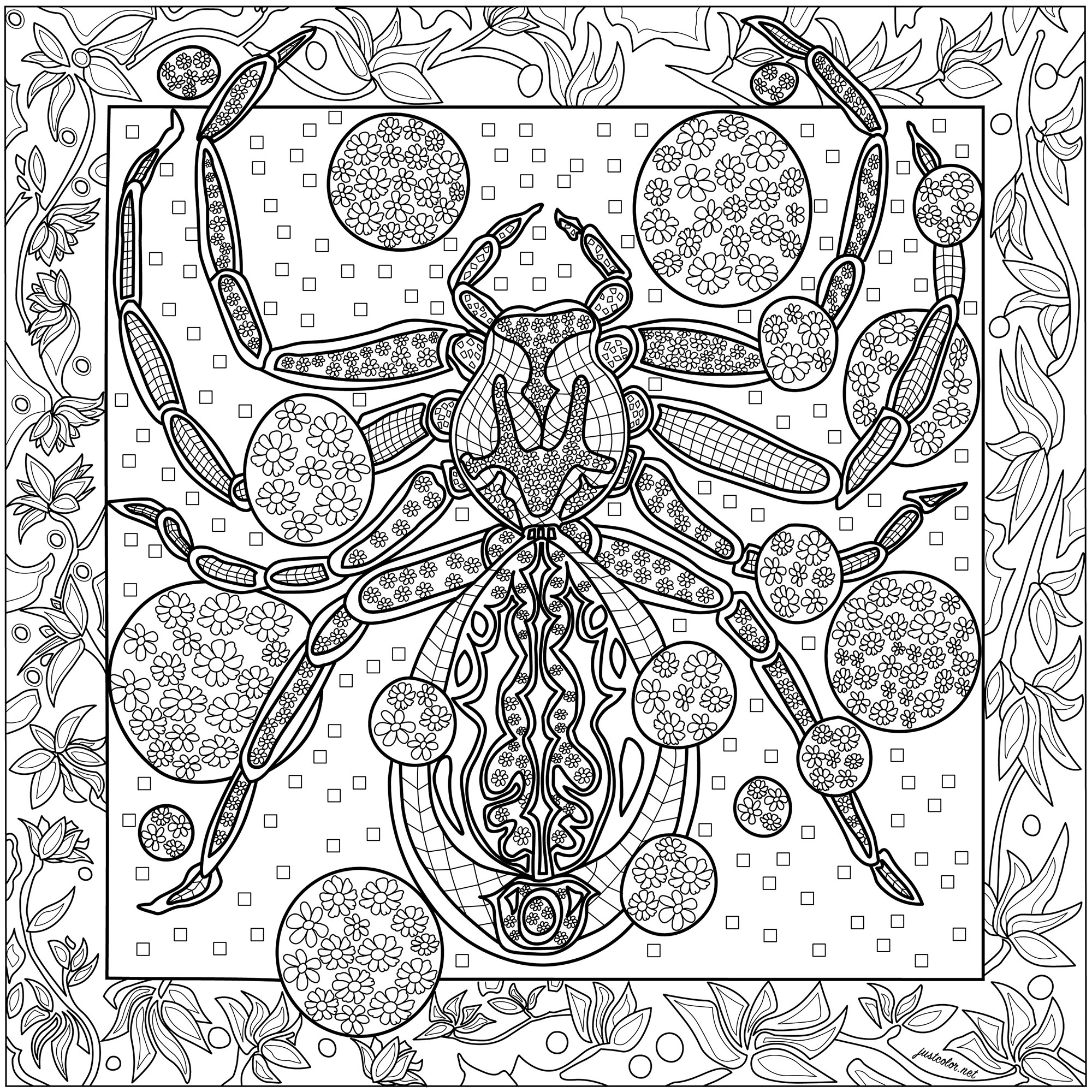 Magnífica araña con increíbles dibujos sobre un fondo rico en detalles.  Te esperan muchas horas de colorear .., Artista : Morgan