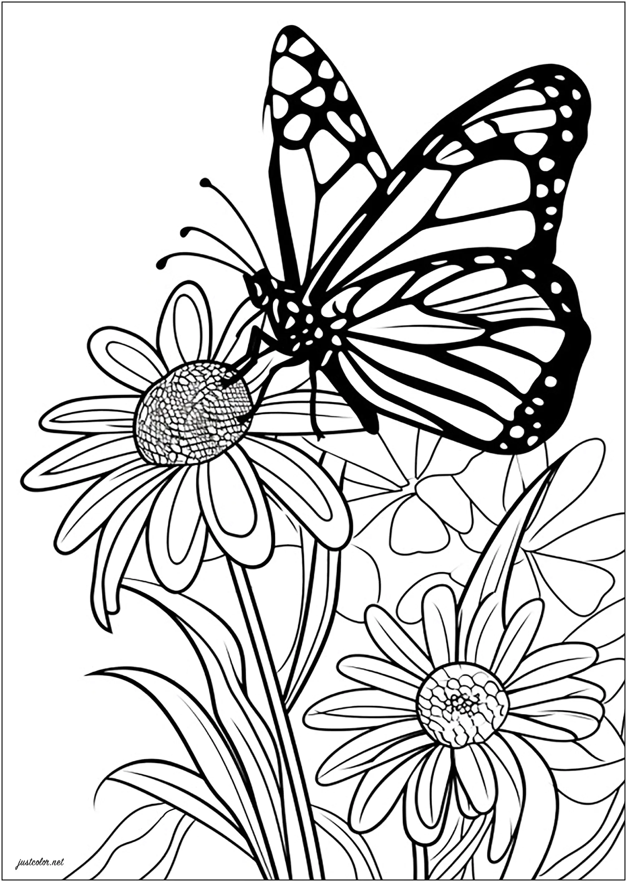 Mariposa de líneas gruesas sobre flores delicadas (Página de Mariposas e insectos para imprimir para adultos)