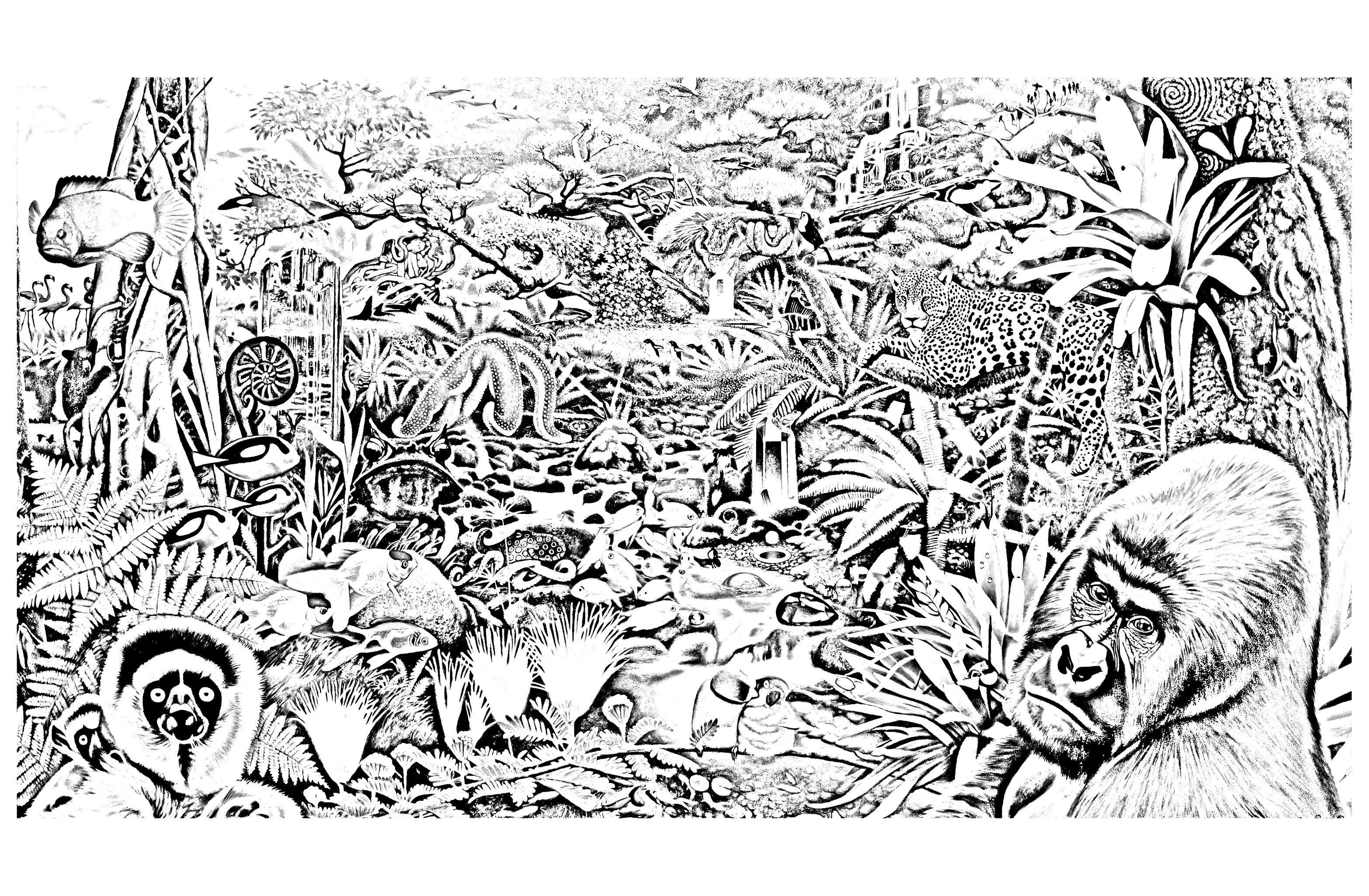 Página de Selva y bosque para imprimir : Varios animales en un bosque Página de Selva y bosque para imprimir para adultos : Varios animales en un bosque