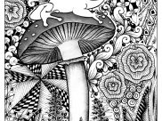 Selva y bosque