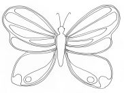 Dibujos de  Insectos para colorear