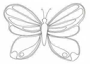 insectos-16655 (Página para imprimir)