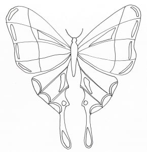 insectos-51168 (Página para imprimir)
