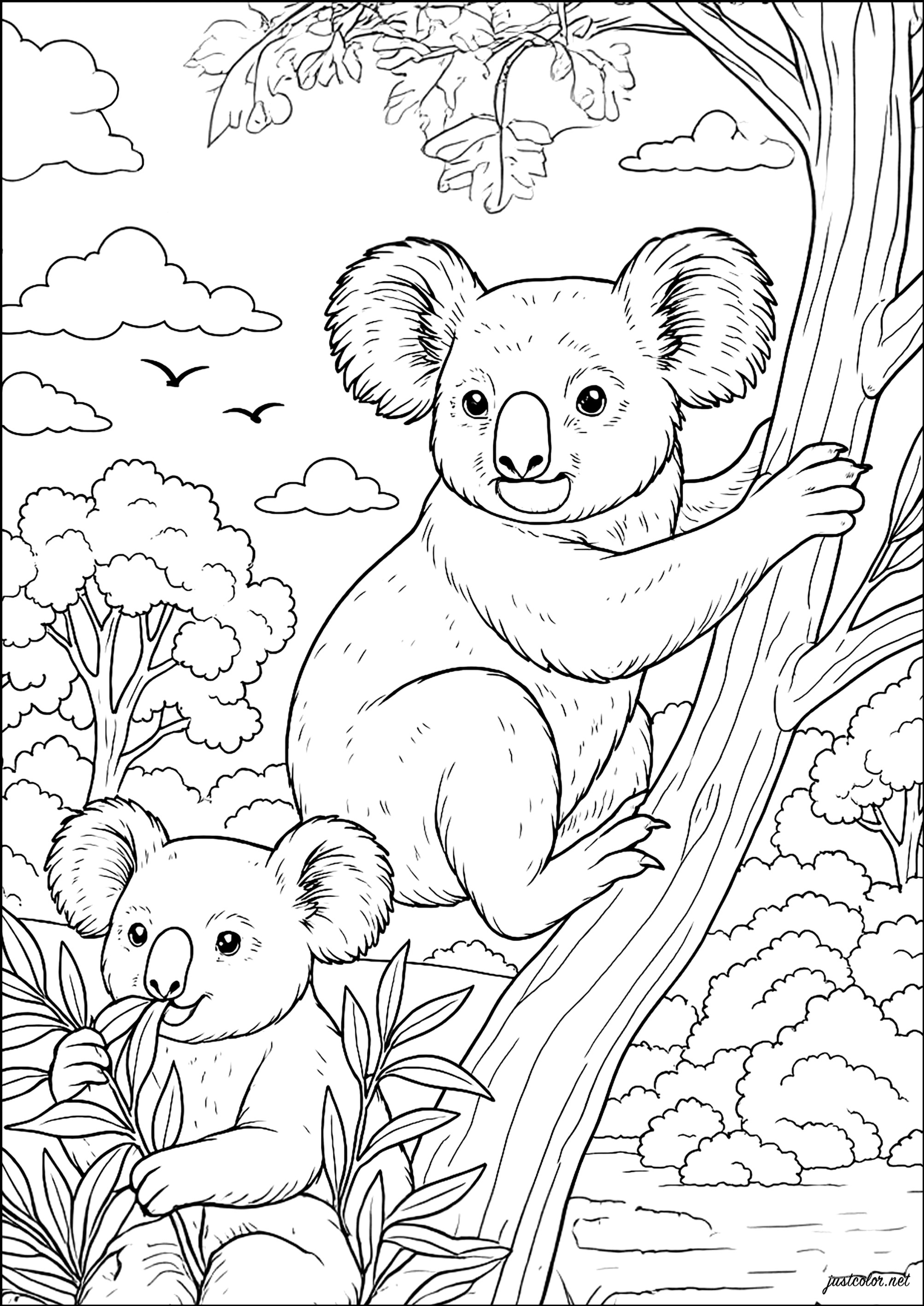 Pacíficos koalas en los árboles de eucalipto (Página para imprimir para adultos)