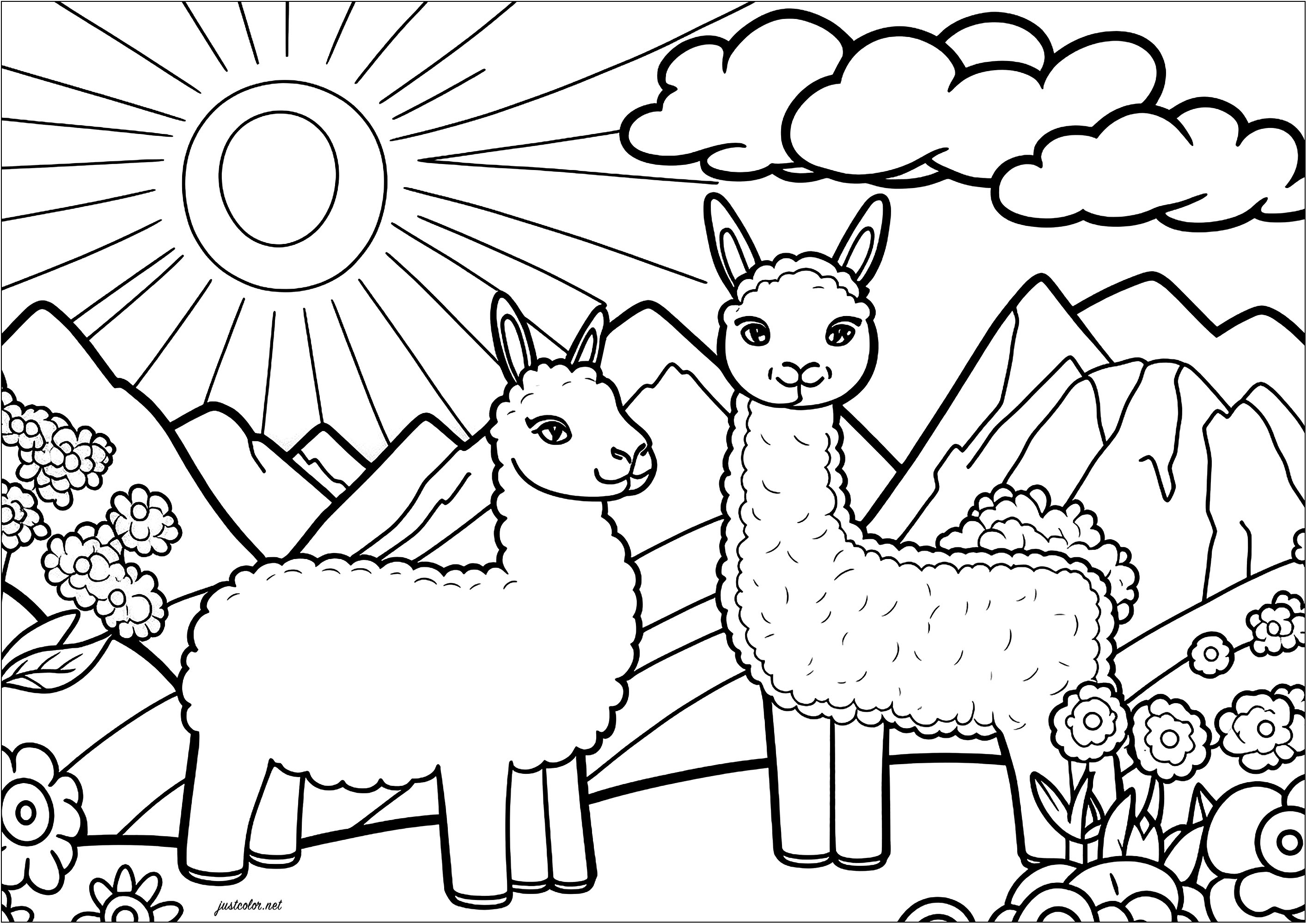 Colorear dos divertidas llamas. Dos graciosas llamas se divierten en un paisaje montañoso. Al fondo, un gran sol y algunas nubes. Colorea las bonitas flores que completan este hermoso cuadro.