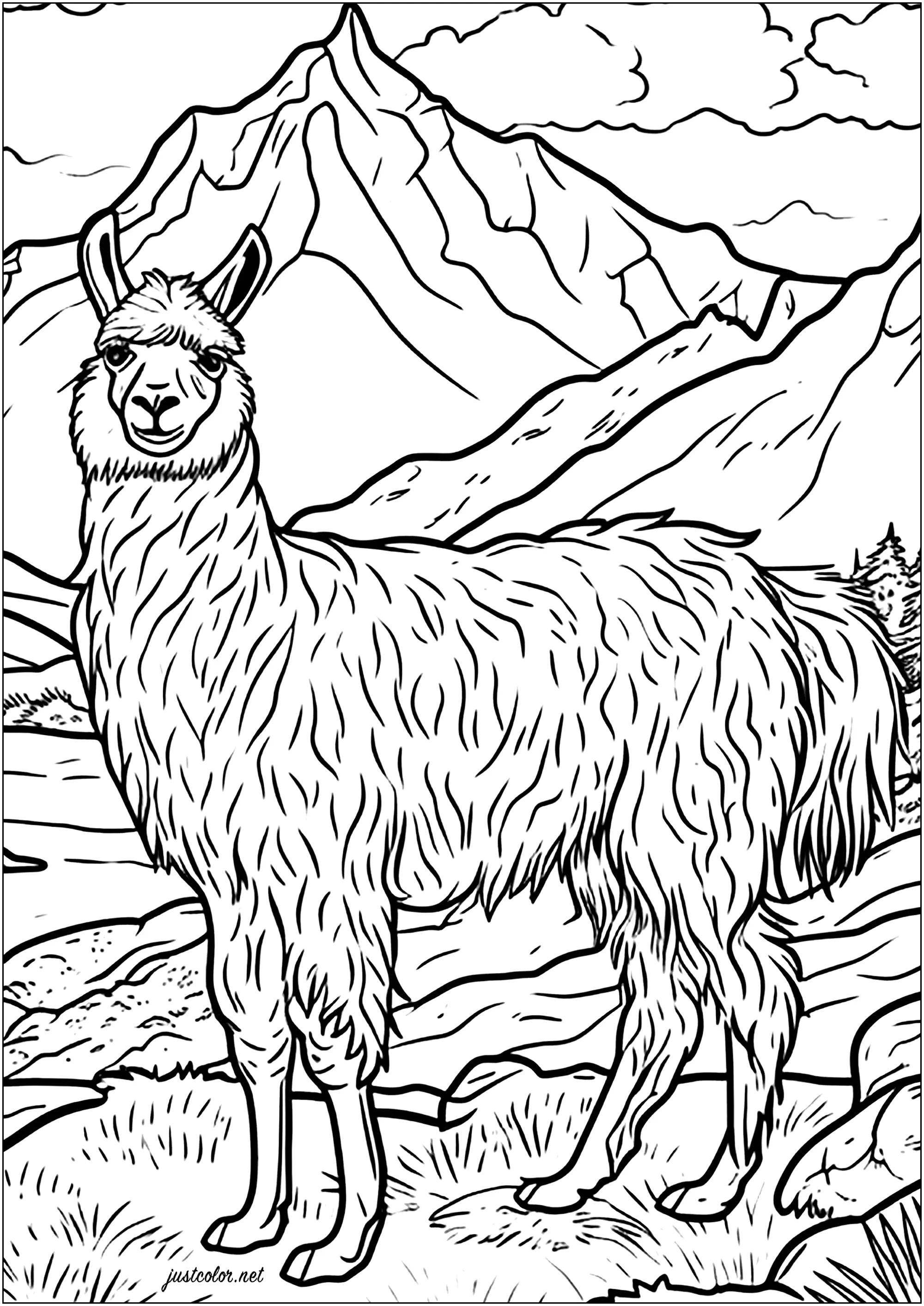 Una hermosa llama en las montañas (Página de Lamas para imprimir para adultos)