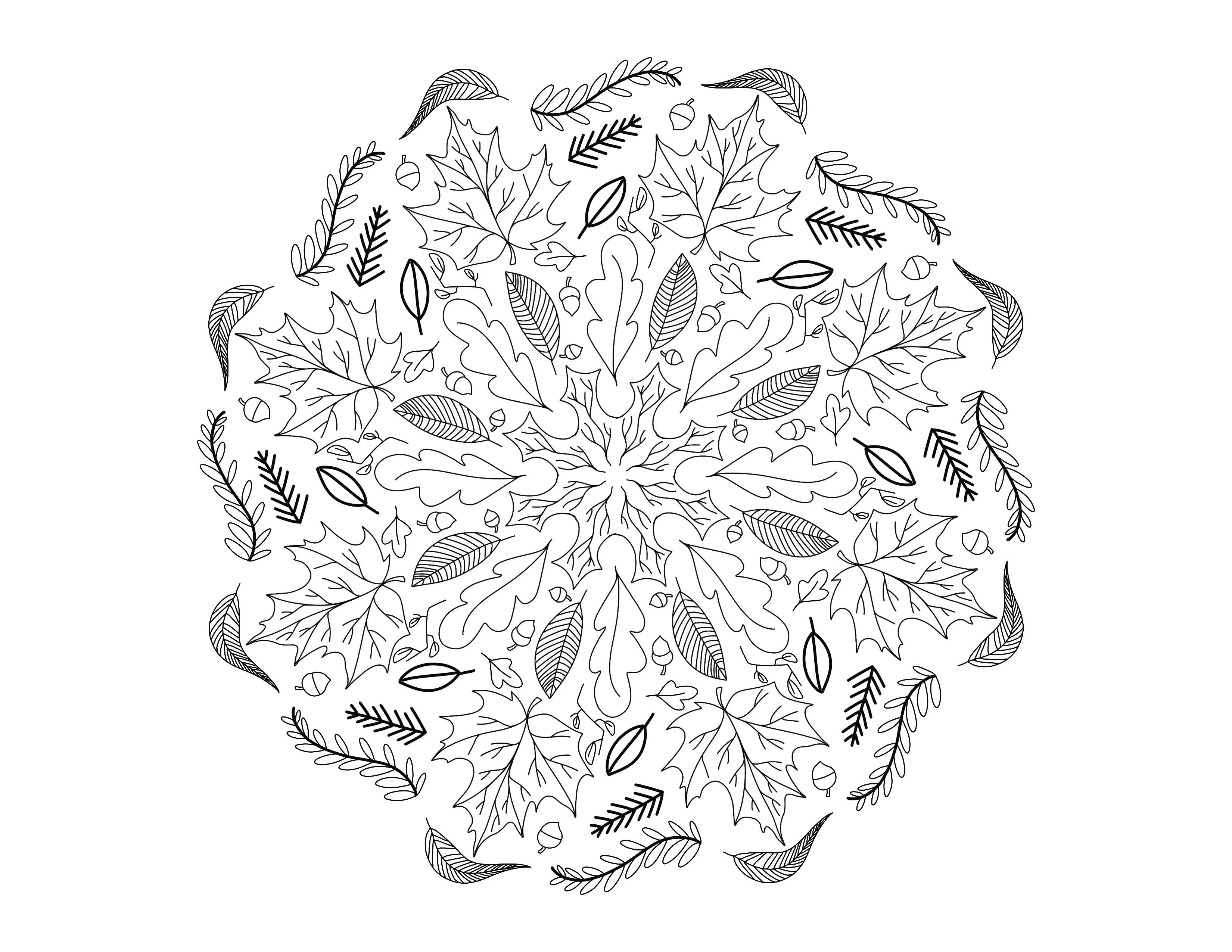 Mandala de otoño (Página para imprimir para adultos)