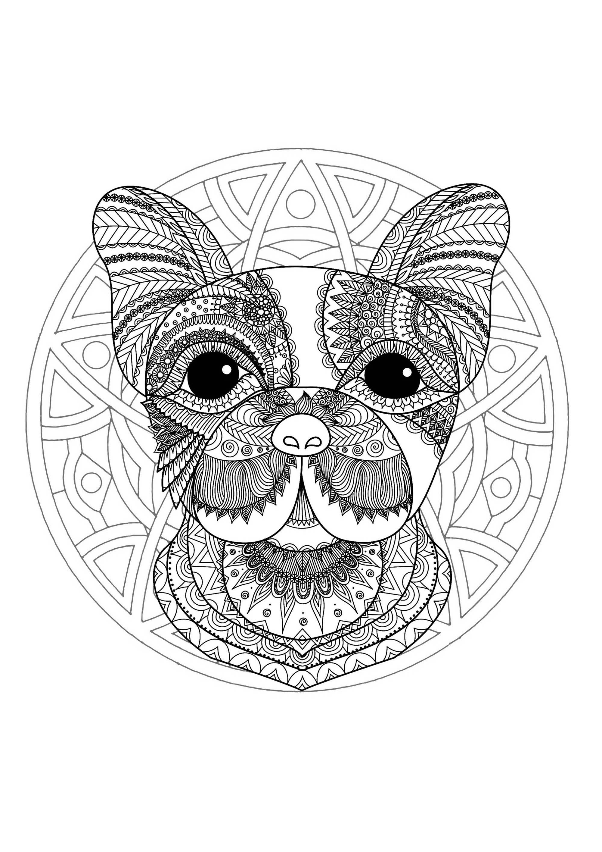 Página para colorear con Cabeza de perro y Mandala sencillo de fondo