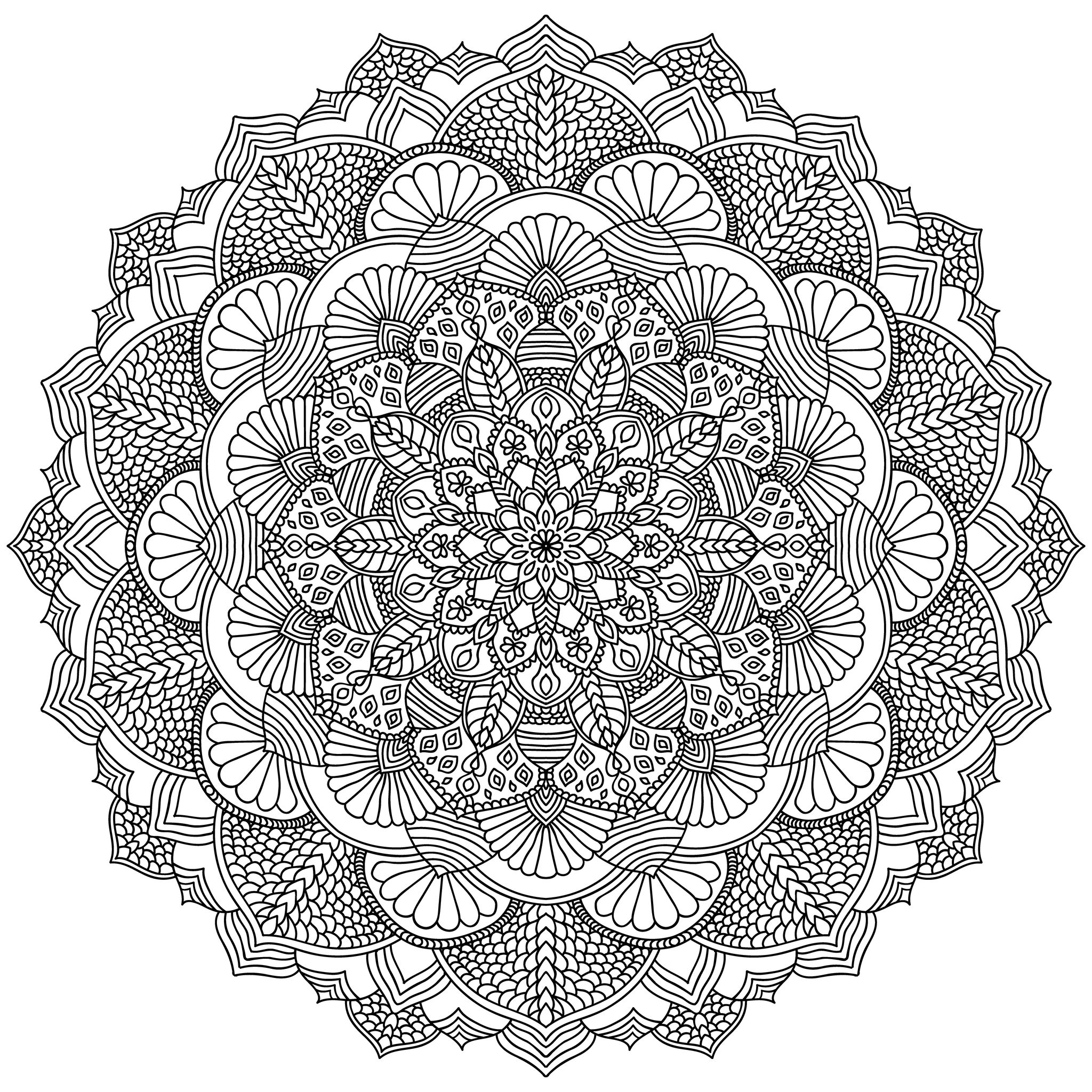 Mandala negro intrincado para colorear. Línea mandala aislado sobre fondo blanco, Origen : 123rf   Artista : amovitania